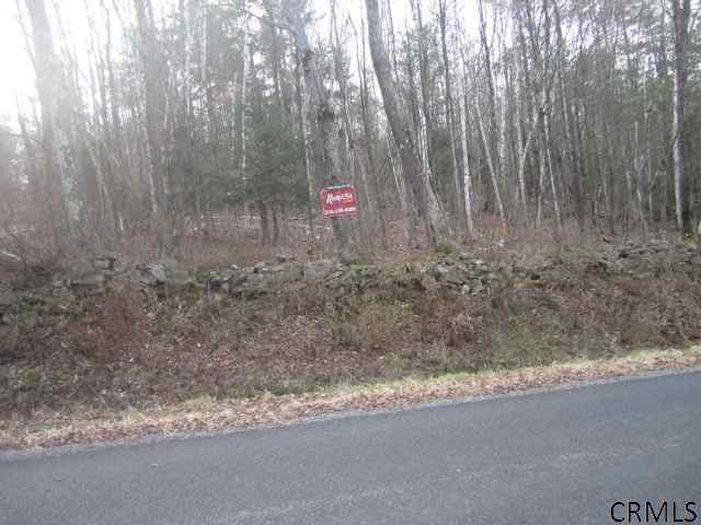 0 Campbell Road Middleburgh, NY 12122 - Photo 1 of 4 Photo 1