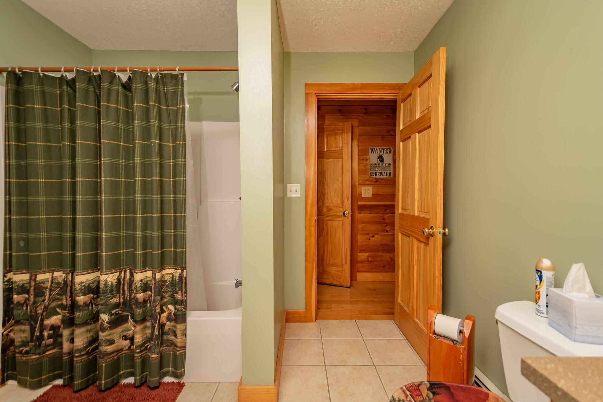230 Gray Hill Road Dover-Foxcroft, ME 04426 - Photo 46 of 115 DSC_0341