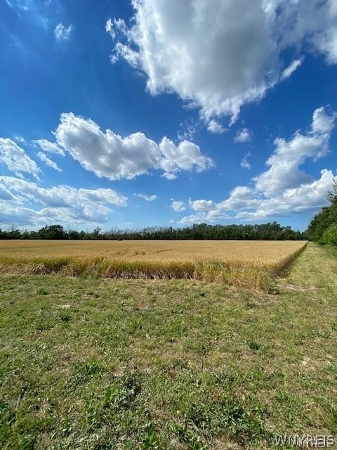 0 Baer Road Ransomville, NY 14131 - Photo 8 of 9