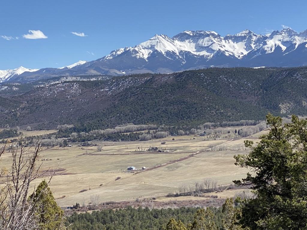 96 Jack's Place Ridgway, CO 81432 - Photo 5 of 11 IMG_0687 (Medium)
