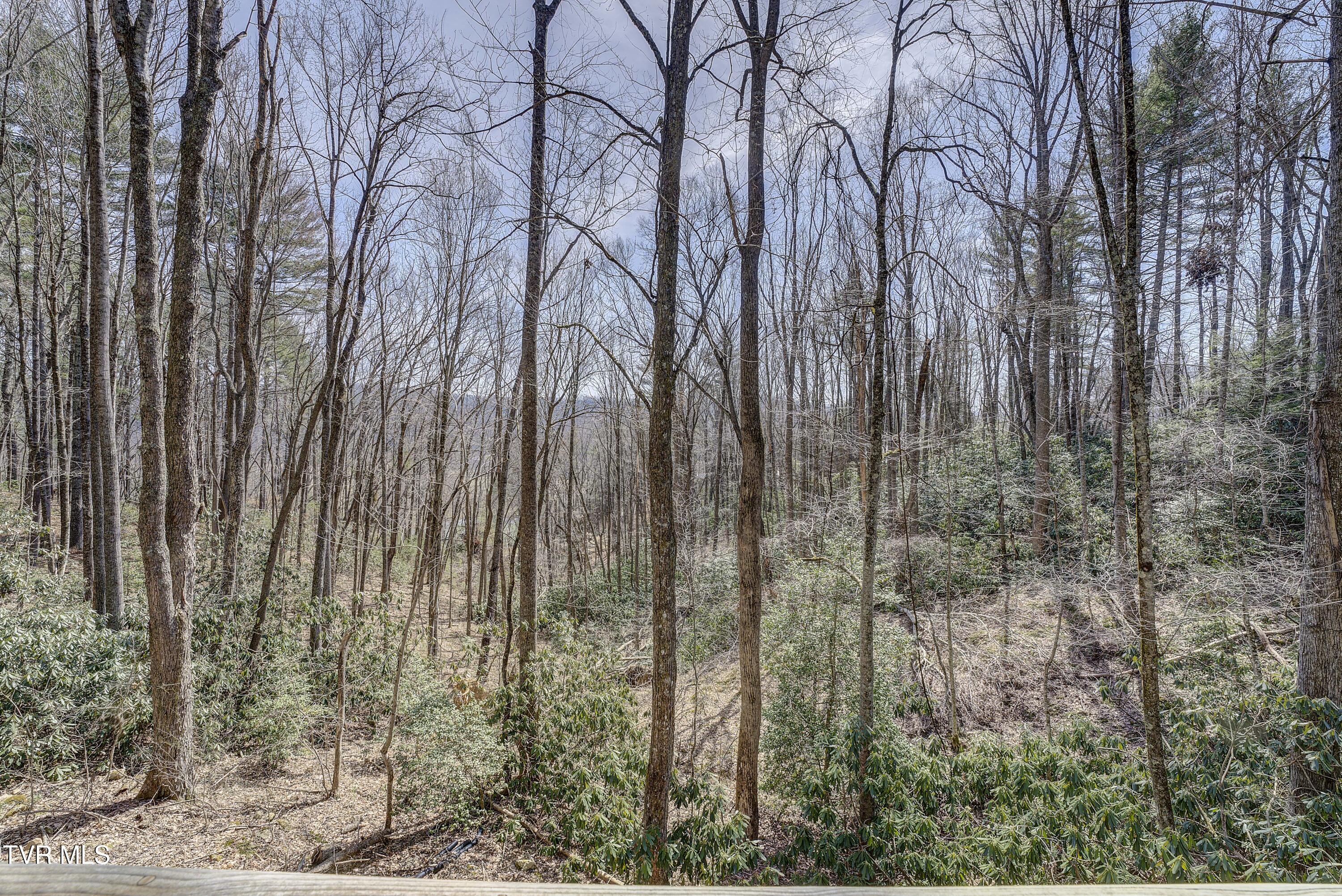 528 Gene Drive Butler, TN 37640 - Photo 31 of 68 Gene-28