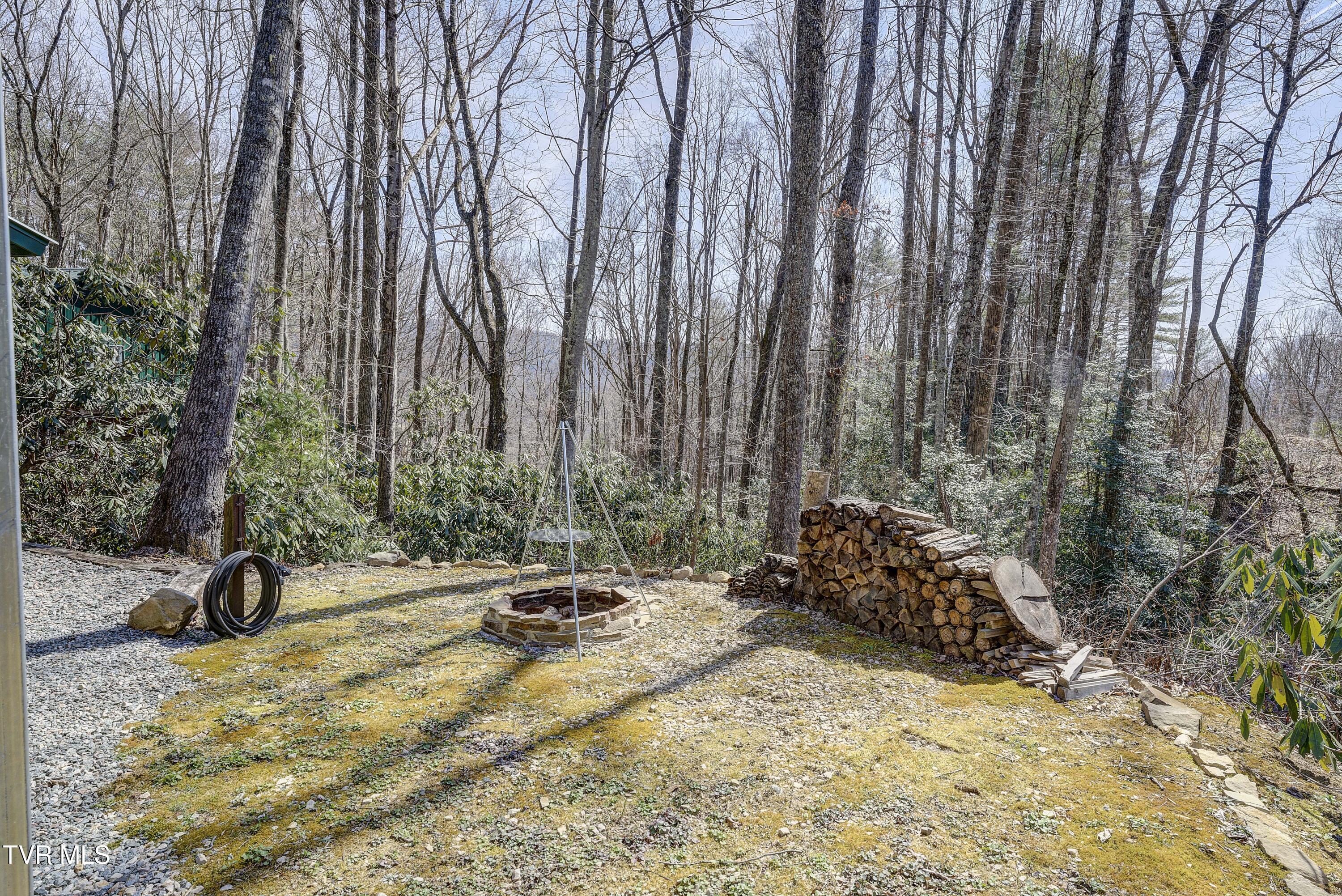 528 Gene Drive Butler, TN 37640 - Photo 40 of 68 Gene-39