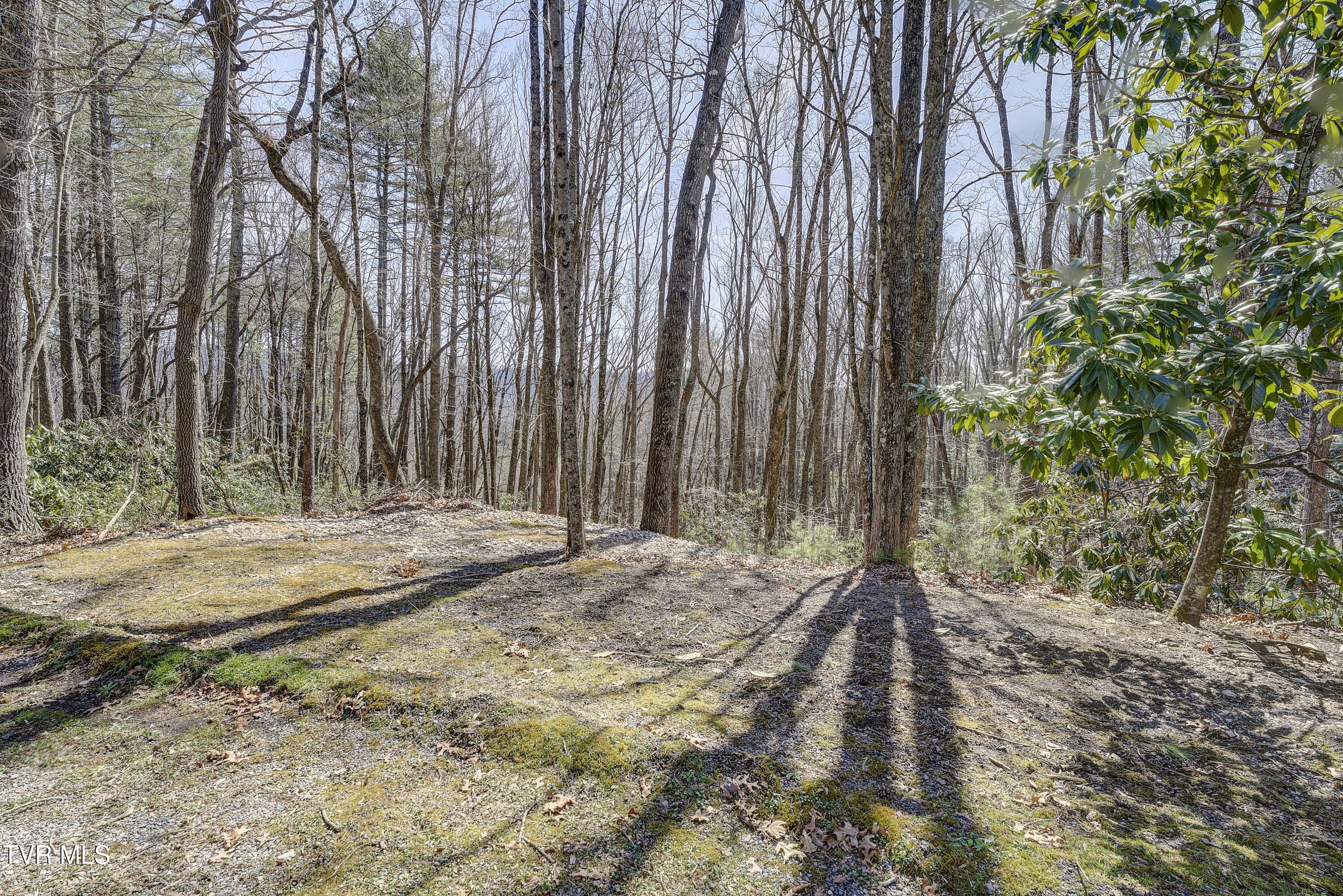 528 Gene Drive Butler, TN 37640 - Photo 48 of 68 Gene-48