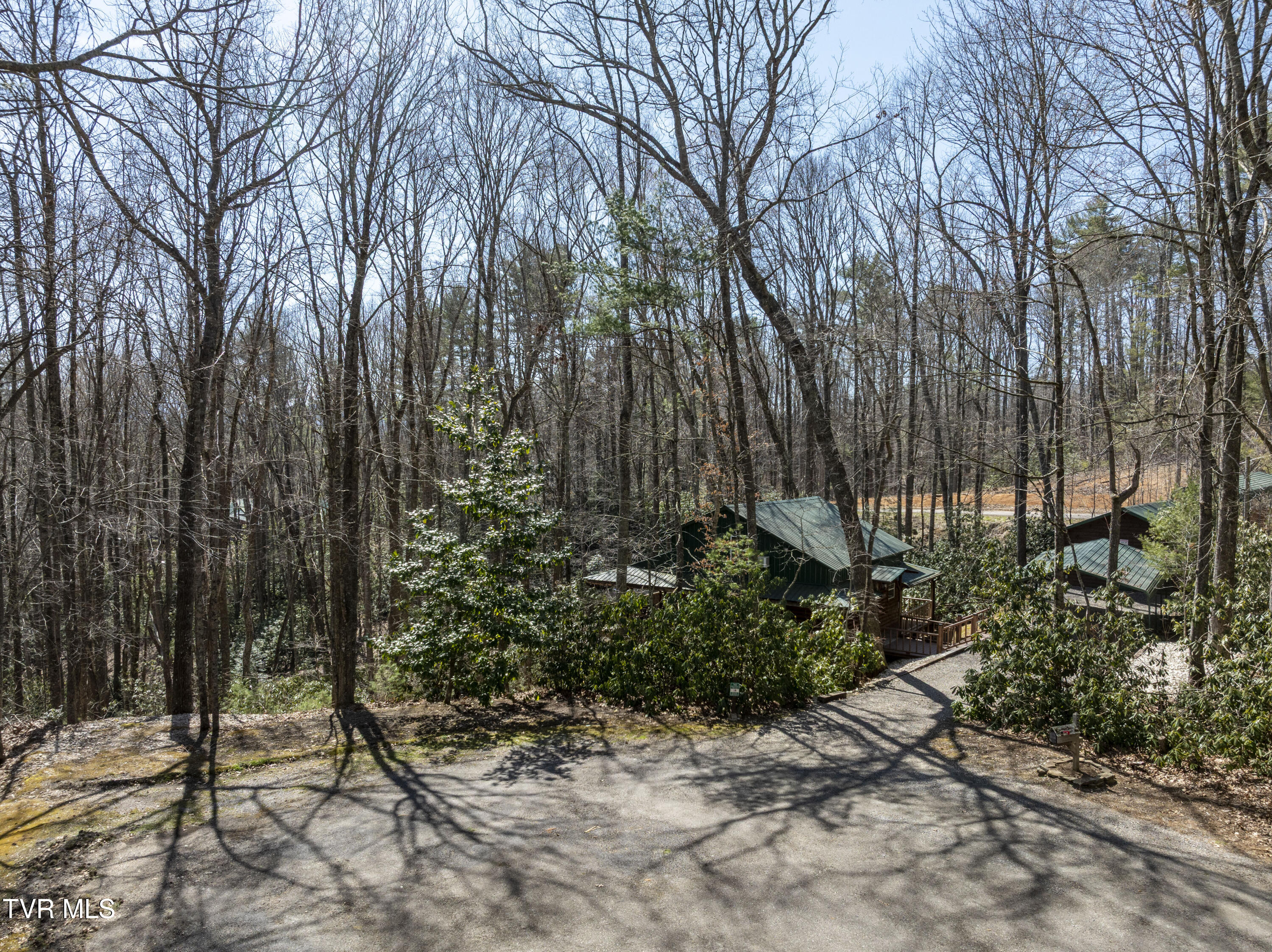 528 Gene Drive Butler, TN 37640 - Photo 50 of 68 Gene-aerials-1