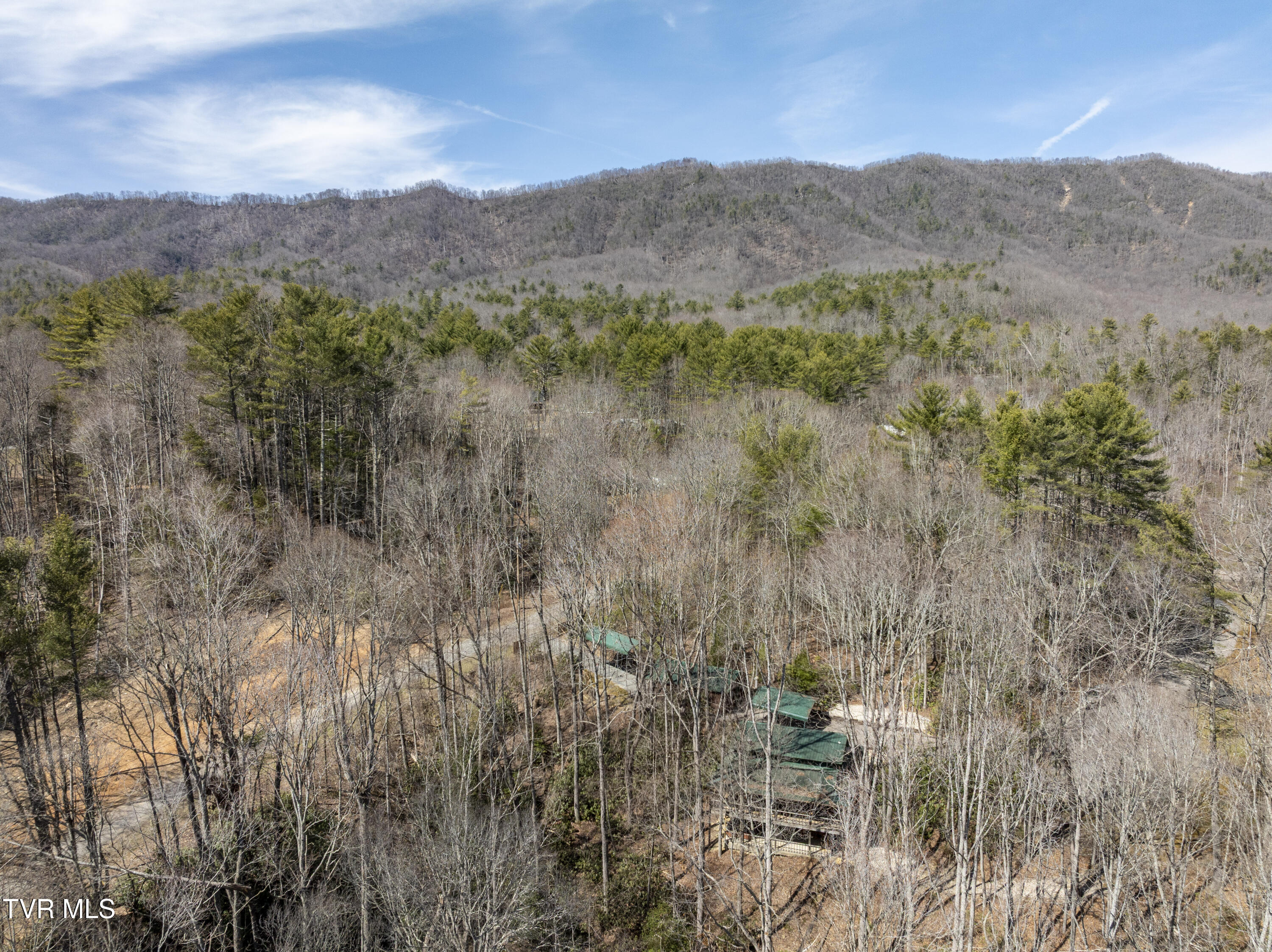 528 Gene Drive Butler, TN 37640 - Photo 55 of 68 Gene-aerials-6