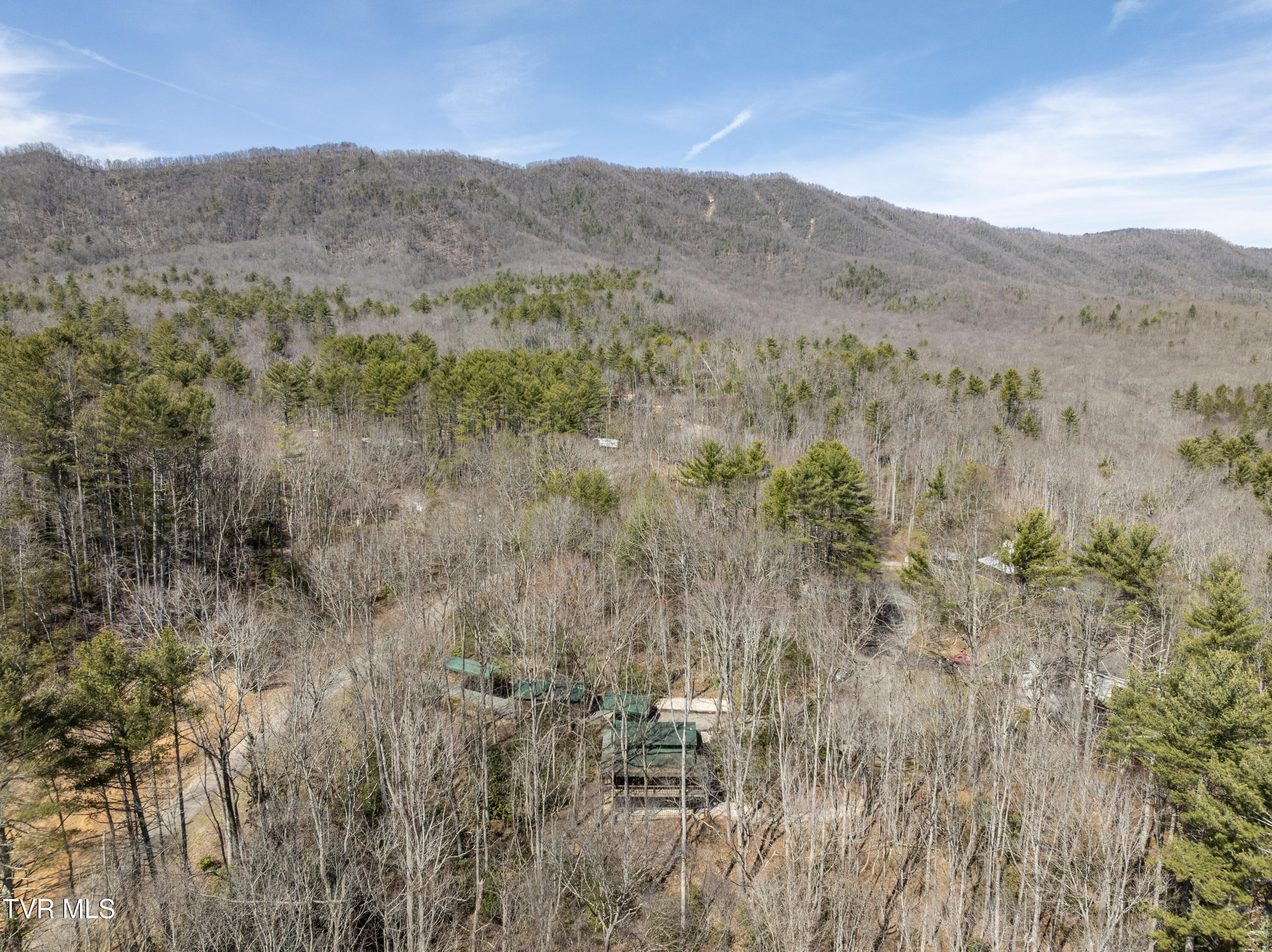 528 Gene Drive Butler, TN 37640 - Photo 56 of 68 Gene-aerials-7