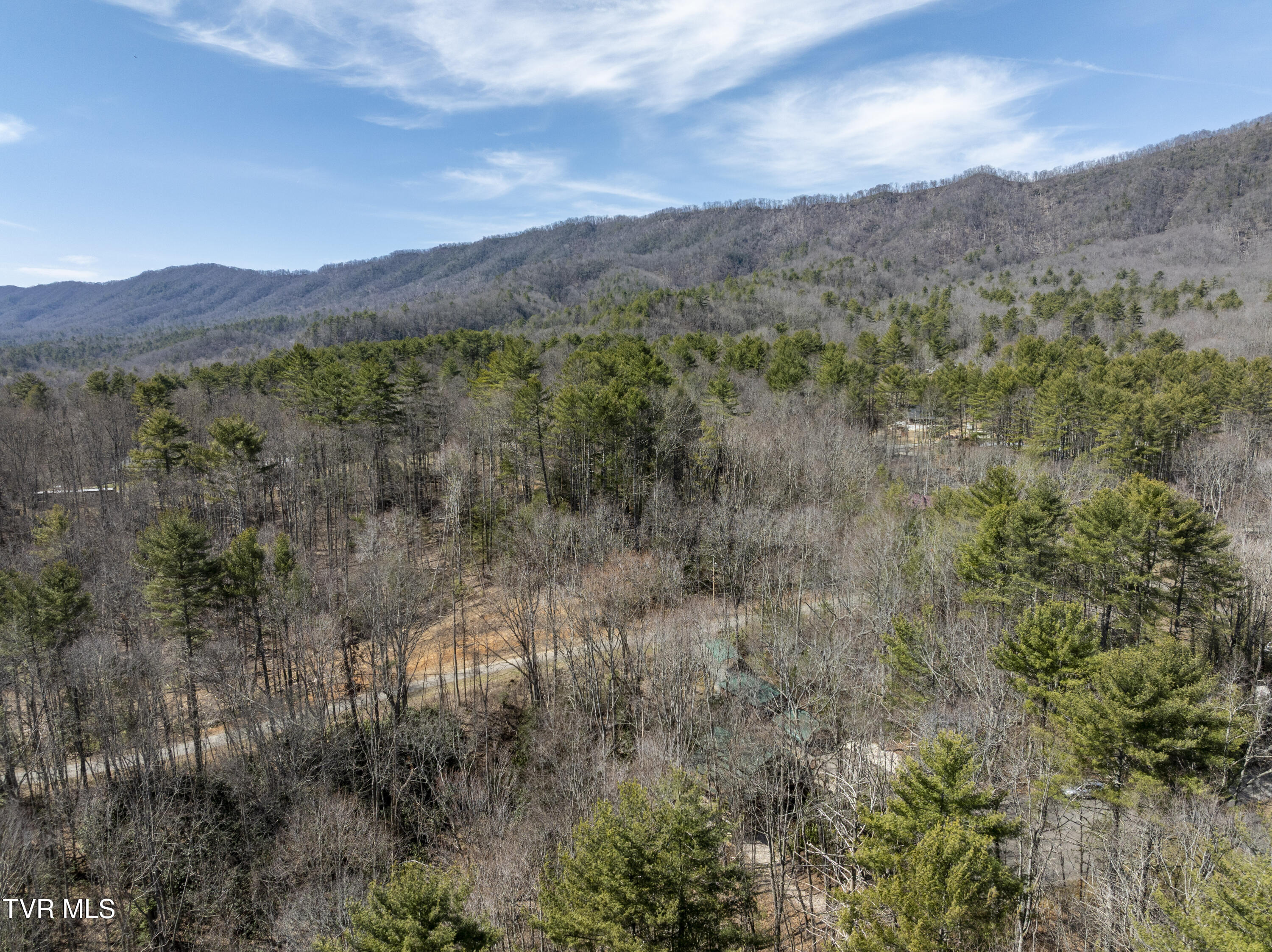 528 Gene Drive Butler, TN 37640 - Photo 57 of 68 Gene-aerials-8