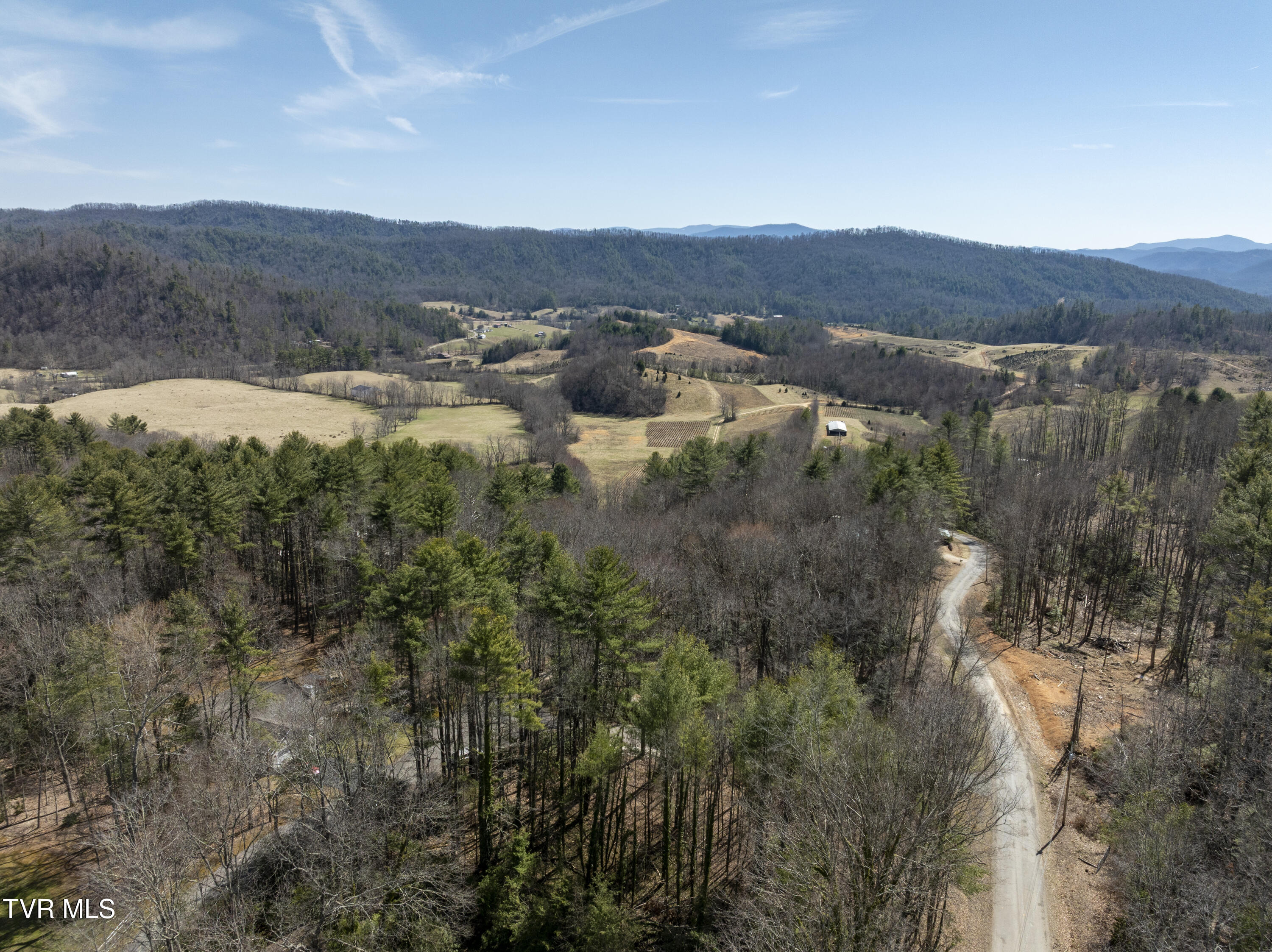 528 Gene Drive Butler, TN 37640 - Photo 59 of 68 Gene-aerials-10