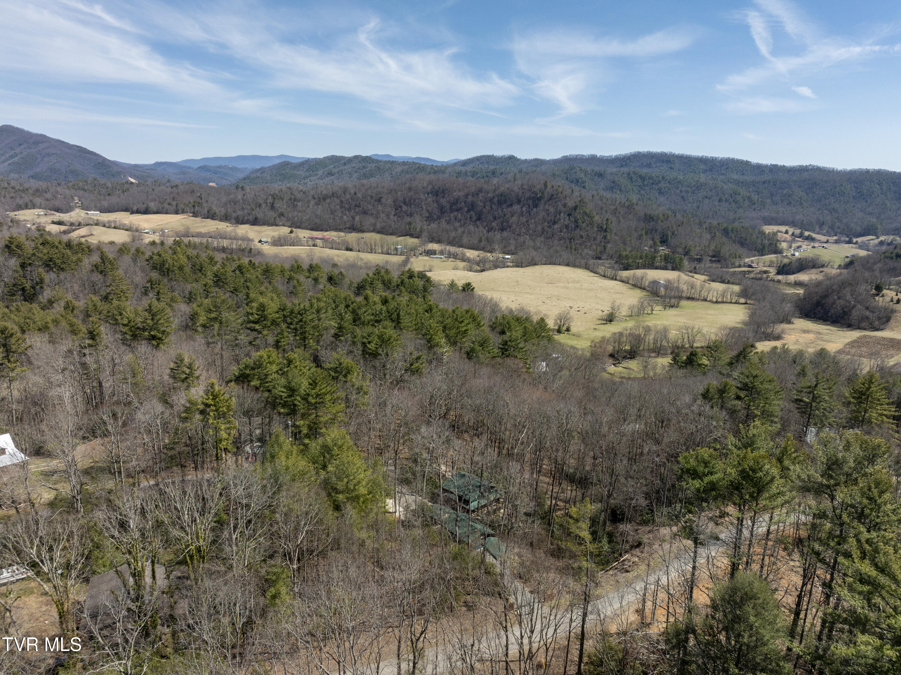 528 Gene Drive Butler, TN 37640 - Photo 60 of 68 Gene-aerials-11