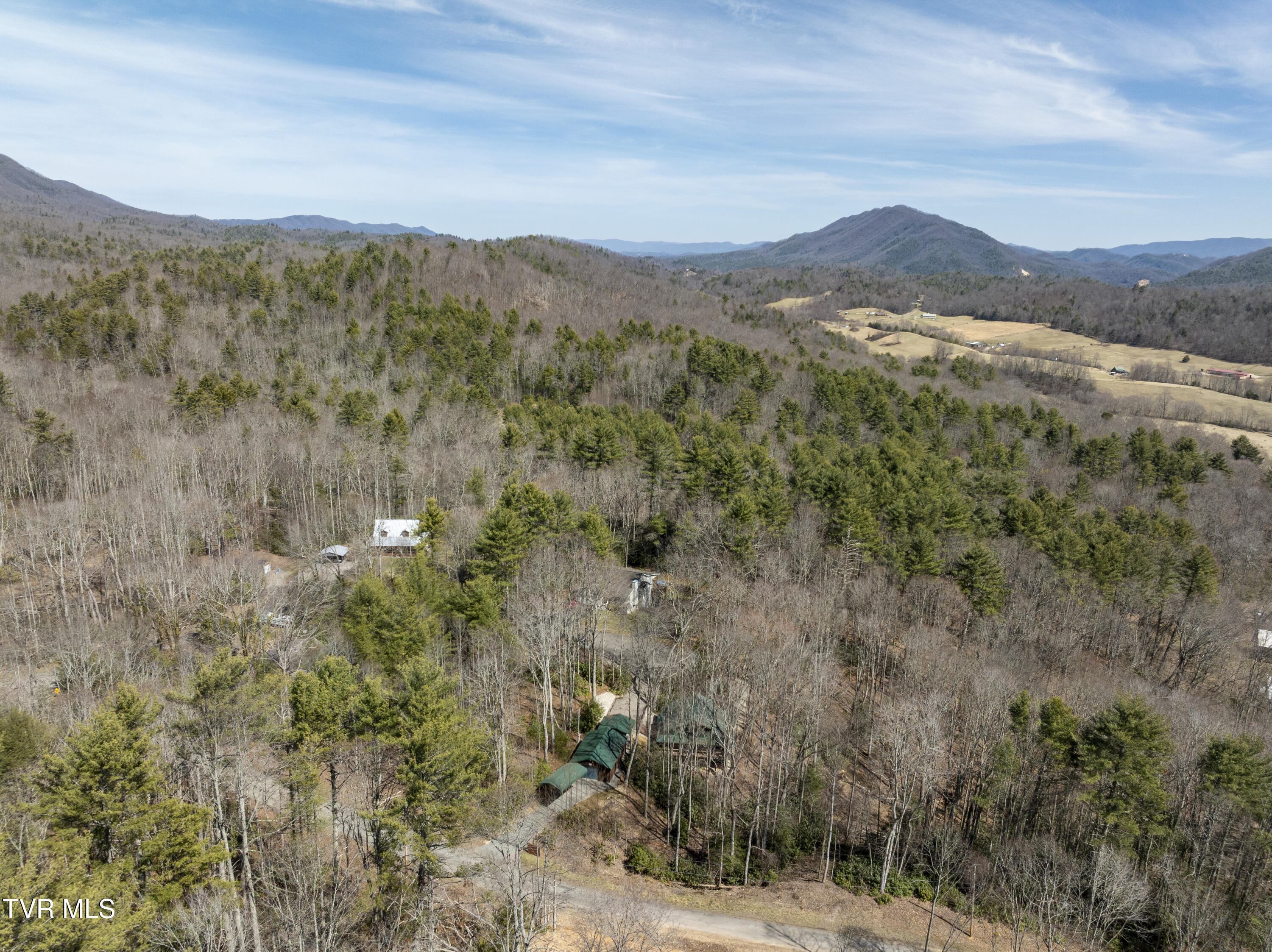 528 Gene Drive Butler, TN 37640 - Photo 61 of 68 Gene-aerials-12