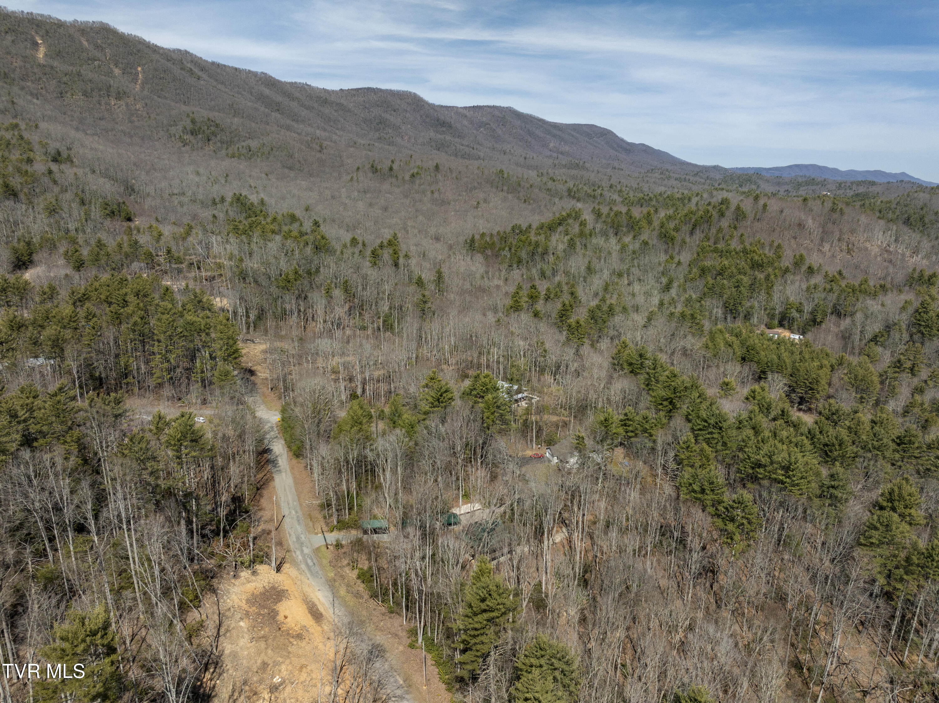 528 Gene Drive Butler, TN 37640 - Photo 63 of 68 Gene-aerials-14