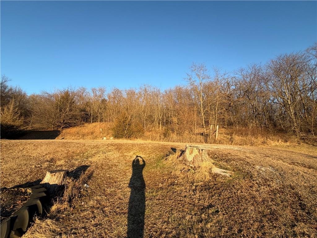 13557 Adobe Road Craig, MO 64437 - Photo 13 of 72