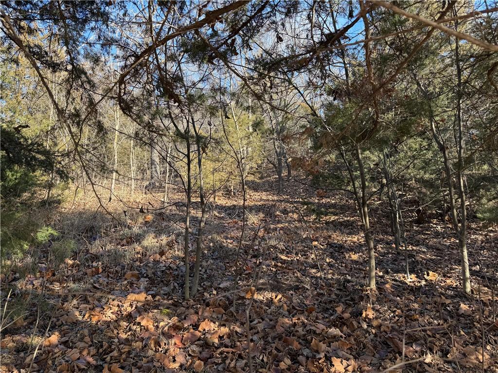 13557 Adobe Road Craig, MO 64437 - Photo 43 of 72