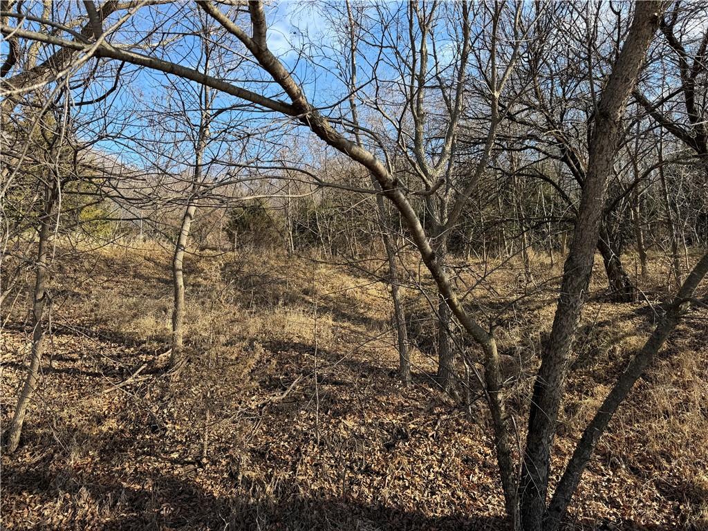 13557 Adobe Road Craig, MO 64437 - Photo 45 of 72