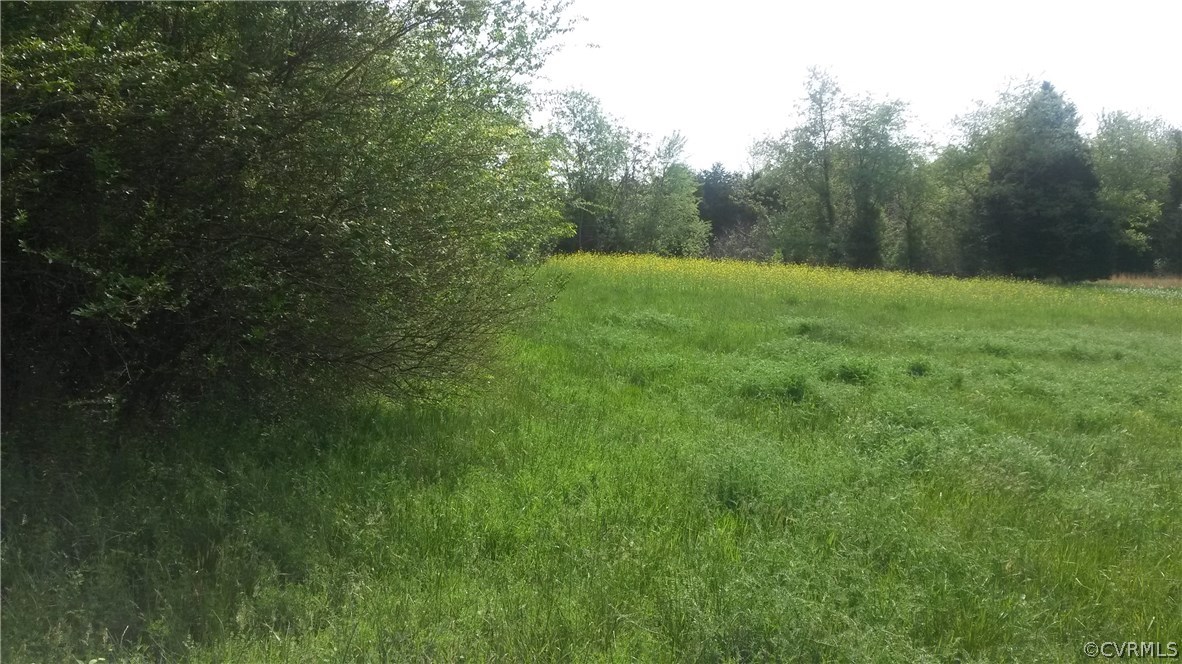 94 Cartersville Road Cumberland, VA 23040 - Photo 2 of 25 Gallery Image 2