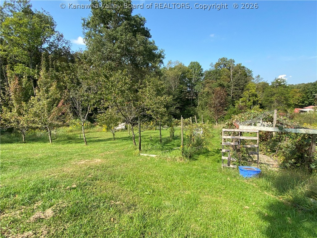 15418 Ripley Road Letart, WV 25253 - Photo 24 of 47 Gallery Image 24