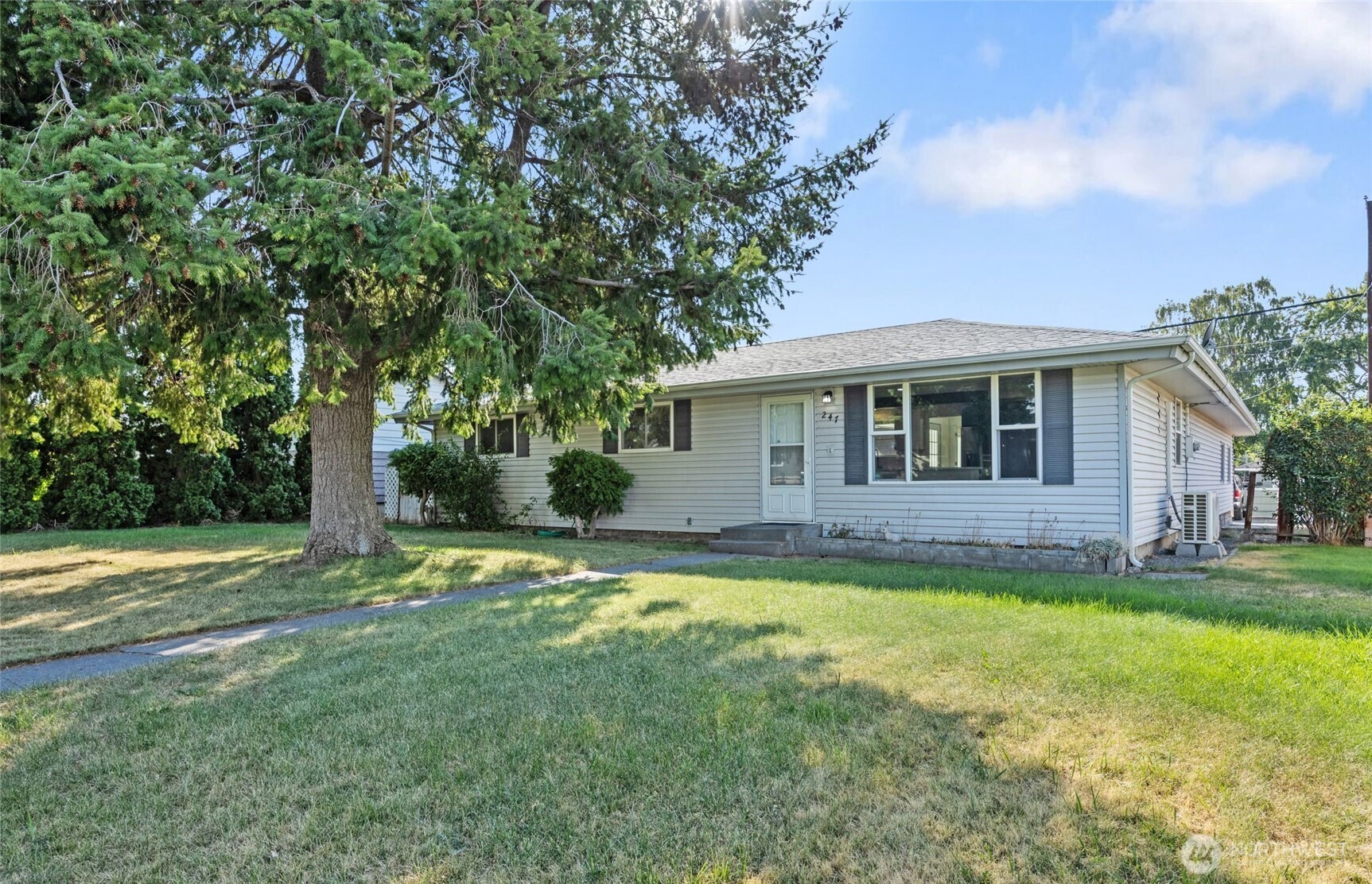 247 Northeast Ivy Ephrata, WA 98823 - Photo 38 of 40 a view of a house with a big yard and large trees
