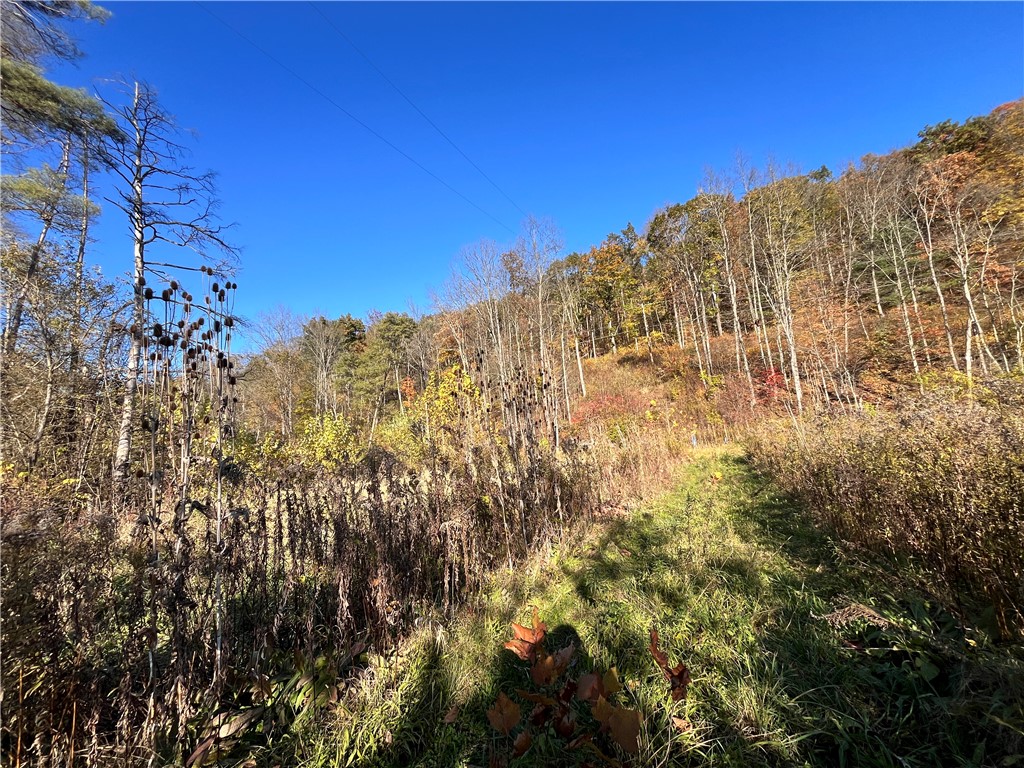 34 State Route Lockwood, NY 14859 - Photo 15 of 43