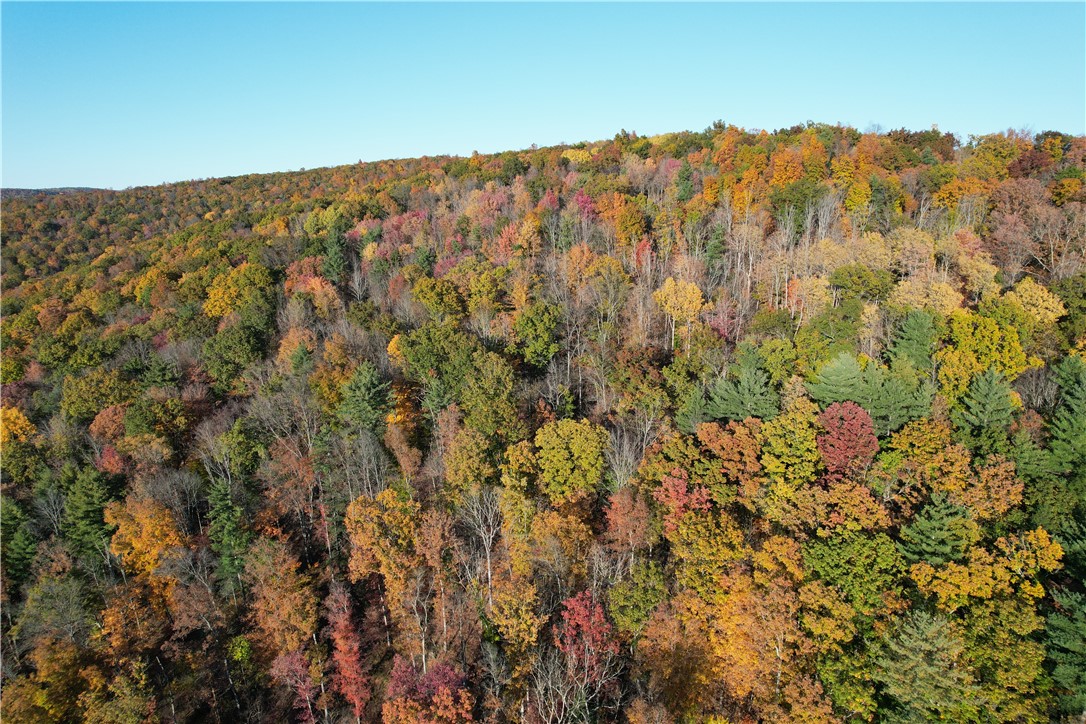 34 State Route Lockwood, NY 14859 - Photo 5 of 43