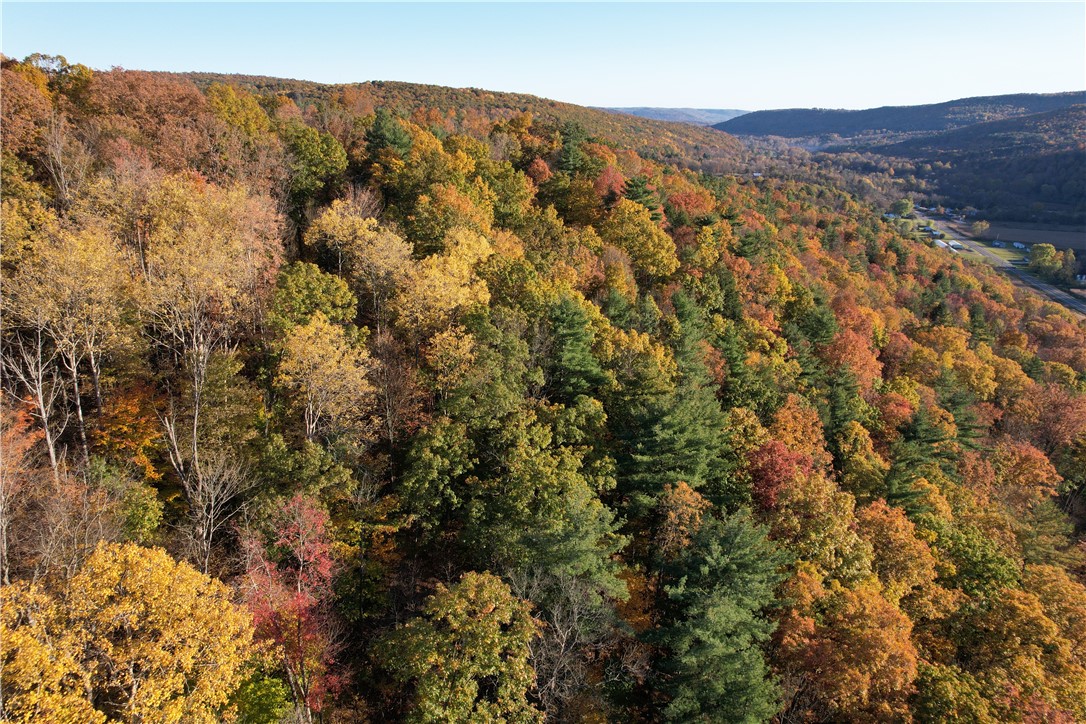 34 State Route Lockwood, NY 14859 - Photo 8 of 43