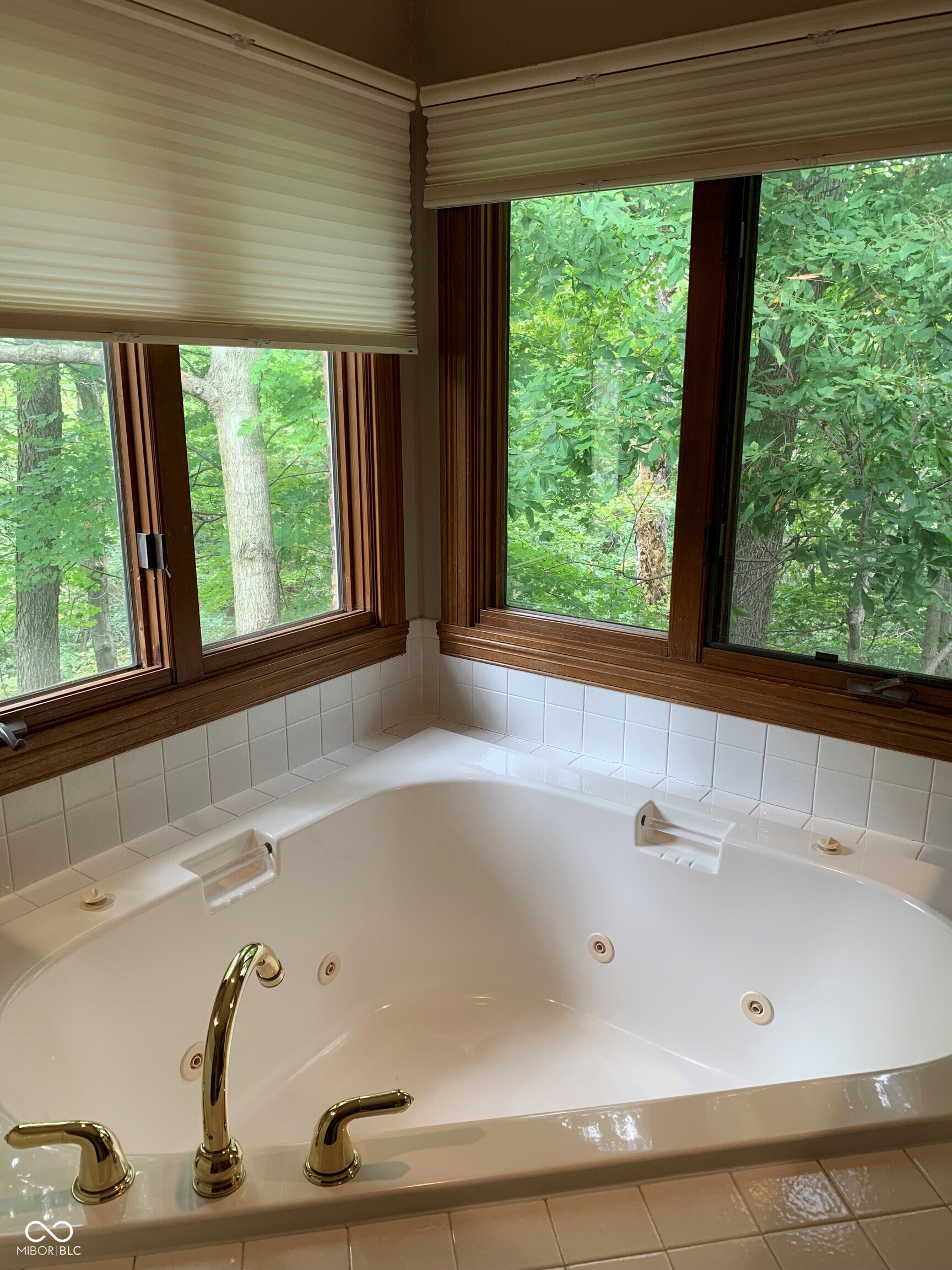 466 Sycamore Ridge Court Avon, IN 46123 - Photo 17 of 39 Gallery Image 17