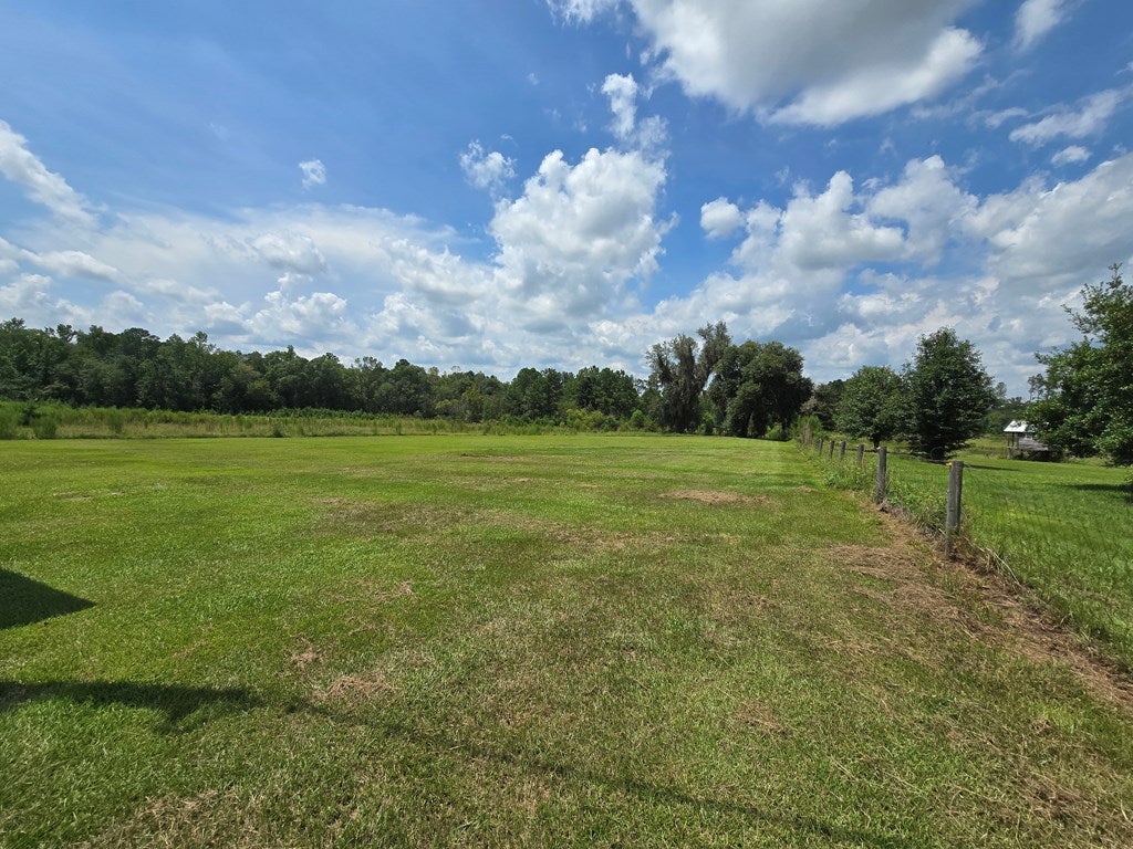 190 Cir R Lane Pearson, GA 31642 - Photo 5 of 24 Gallery Image 5