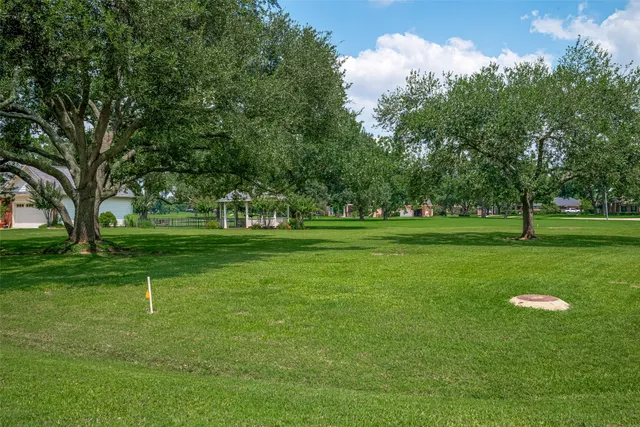 a view of a trees in a park