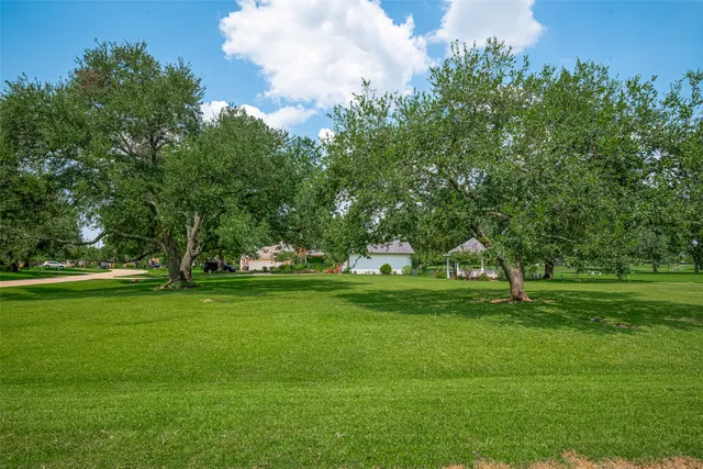 a view of grassy field with benches