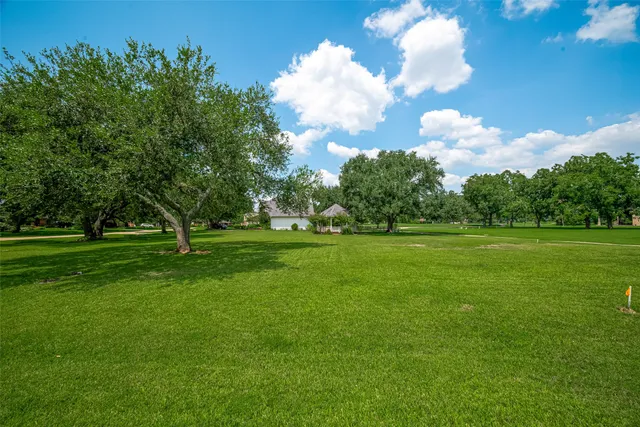 a view of a park with large trees