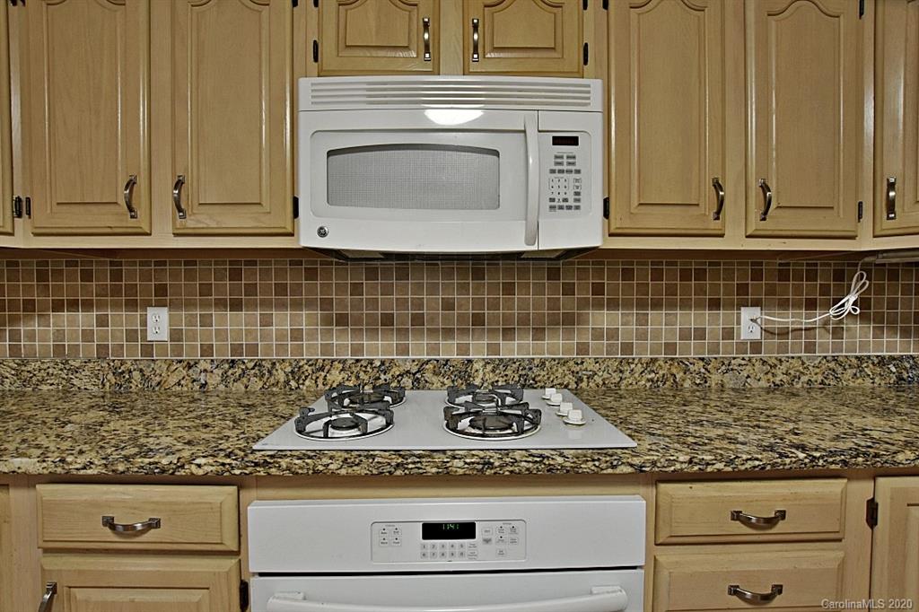 13022 Hamilton Pl Drive Fort Mill, SC 29708 - Photo 14 of 31 view of a stove