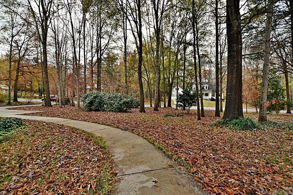 13022 Hamilton Pl Drive Fort Mill, SC 29708 - Photo 5 of 31 a view of road with trees