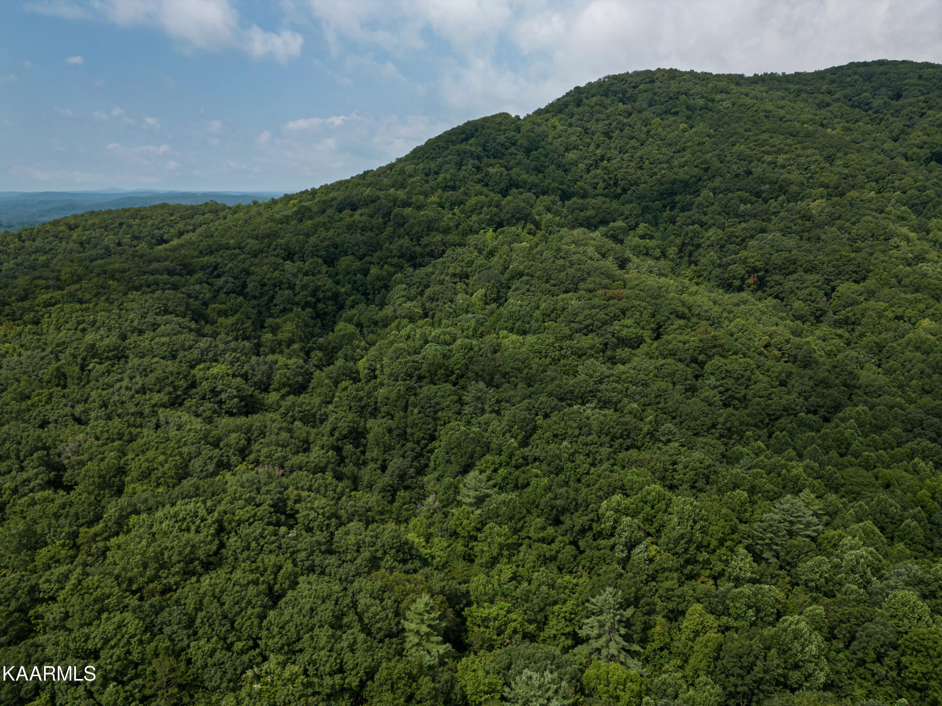 Grouse Ridge Road Harriman, TN 37748 - Photo 15 of 21 Parcel 129_009.01-14
