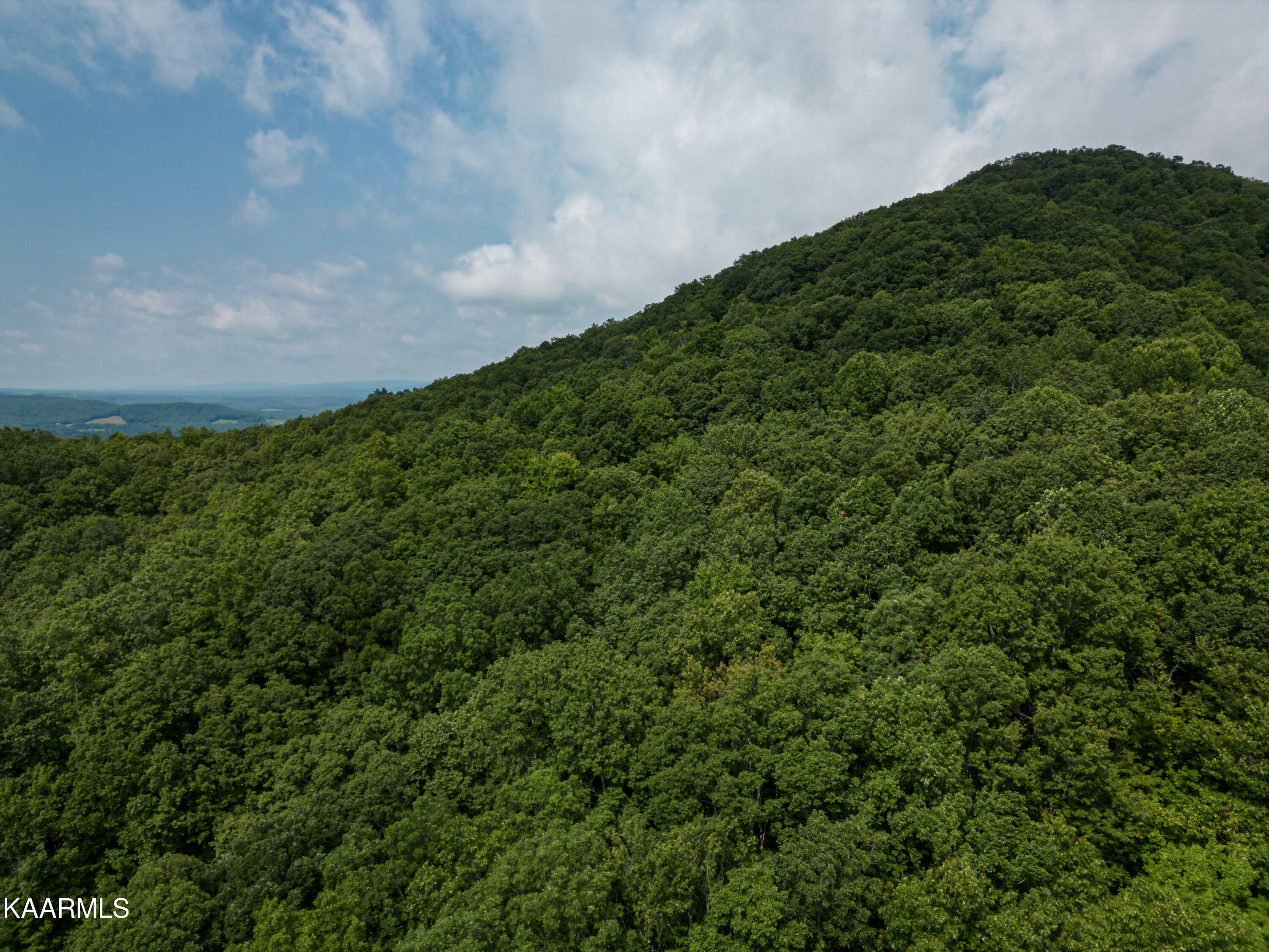 Grouse Ridge Road Harriman, TN 37748 - Photo 18 of 21 Parcel 129_009.01-17