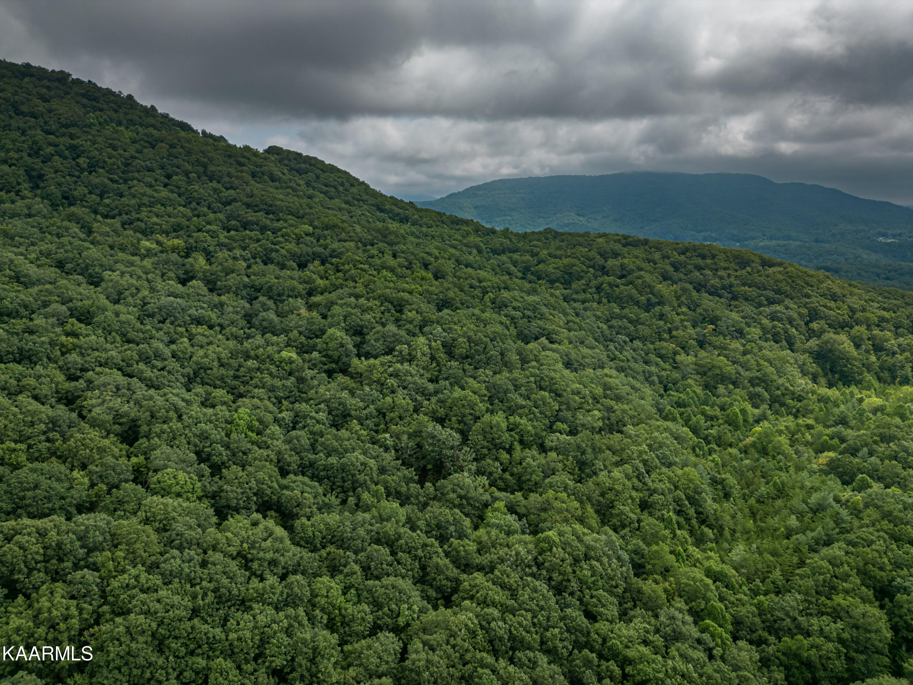 Grouse Ridge Road Harriman, TN 37748 - Photo 4 of 21 Parcel 129_009.01-2