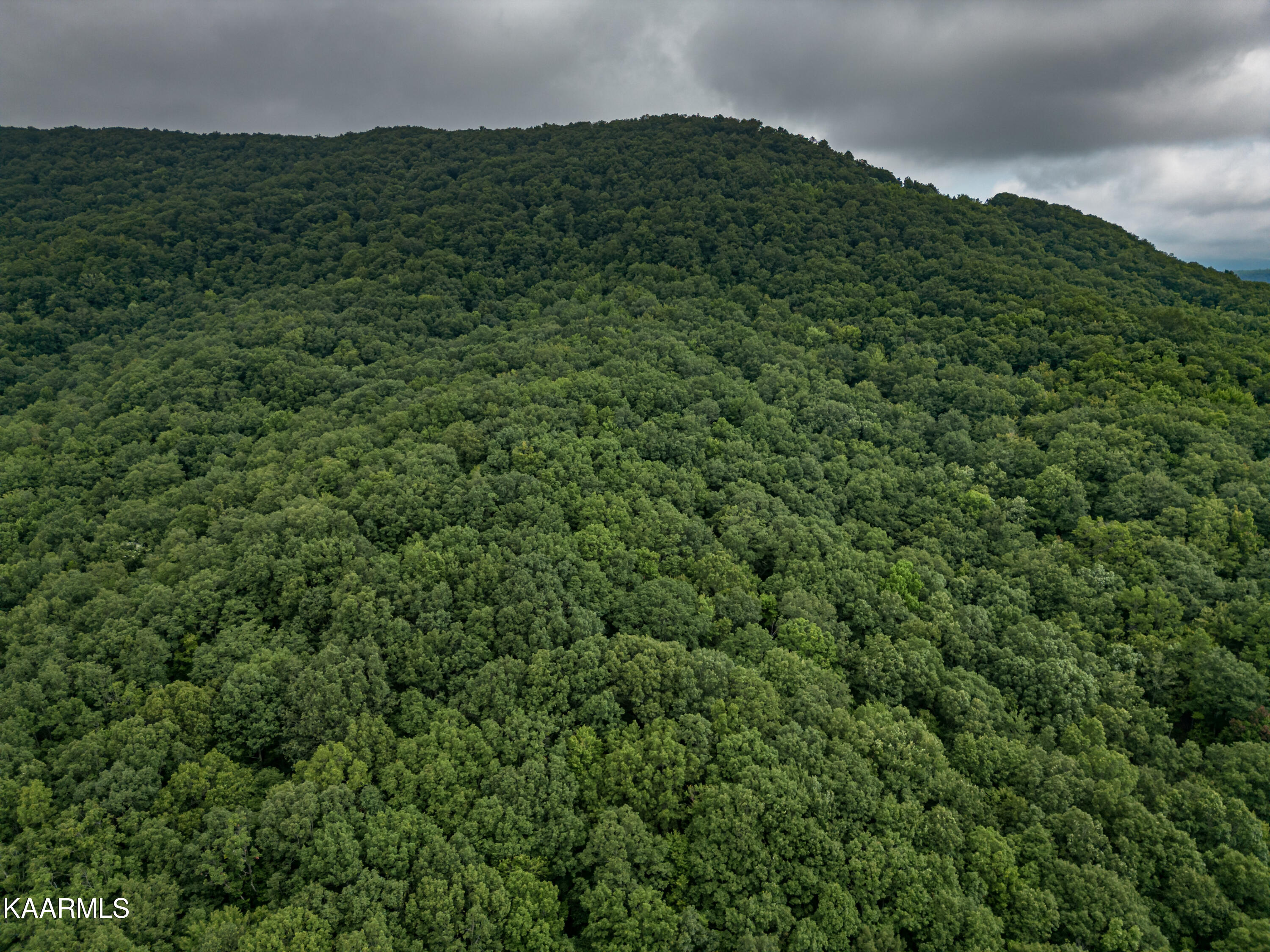 Grouse Ridge Road Harriman, TN 37748 - Photo 5 of 21 Parcel 129_009.01-3