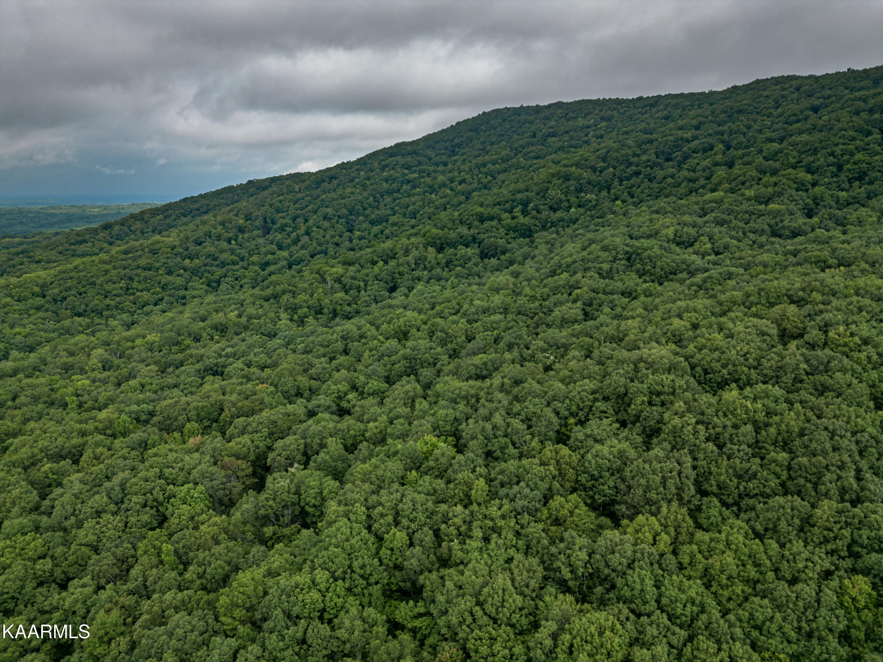 Grouse Ridge Road Harriman, TN 37748 - Photo 6 of 21 Parcel 129_009.01-4