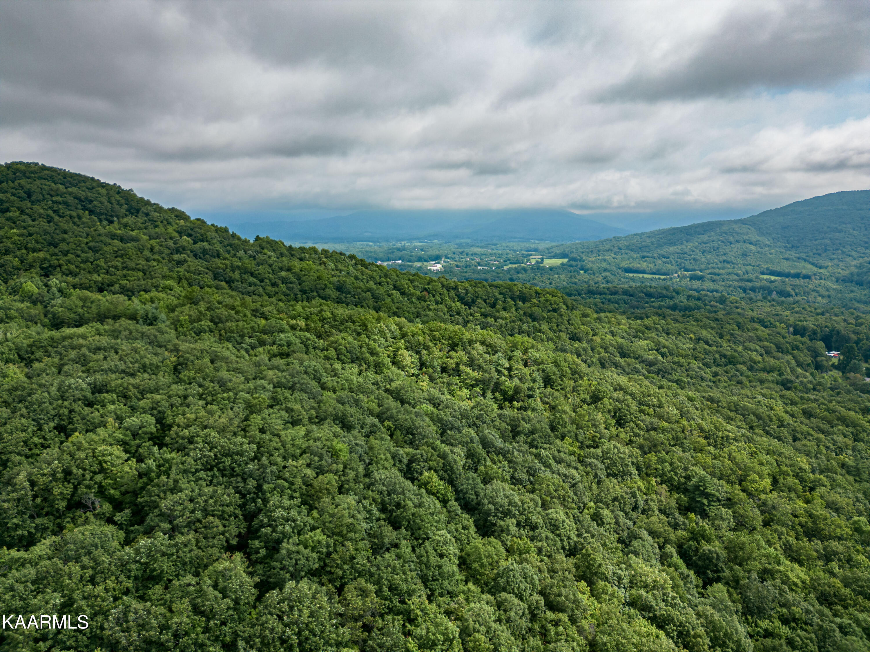 Grouse Ridge Road Harriman, TN 37748 - Photo 9 of 21 Parcel 129_009.01-8