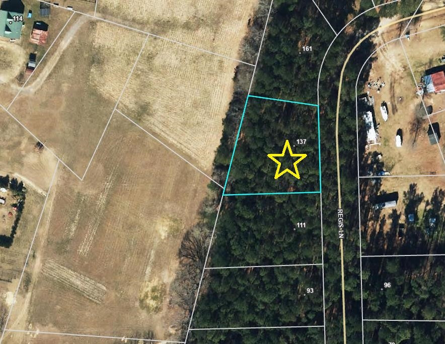 137 Regis Lane Coats, NC 27521 - Photo 35 of 36 Photo 5