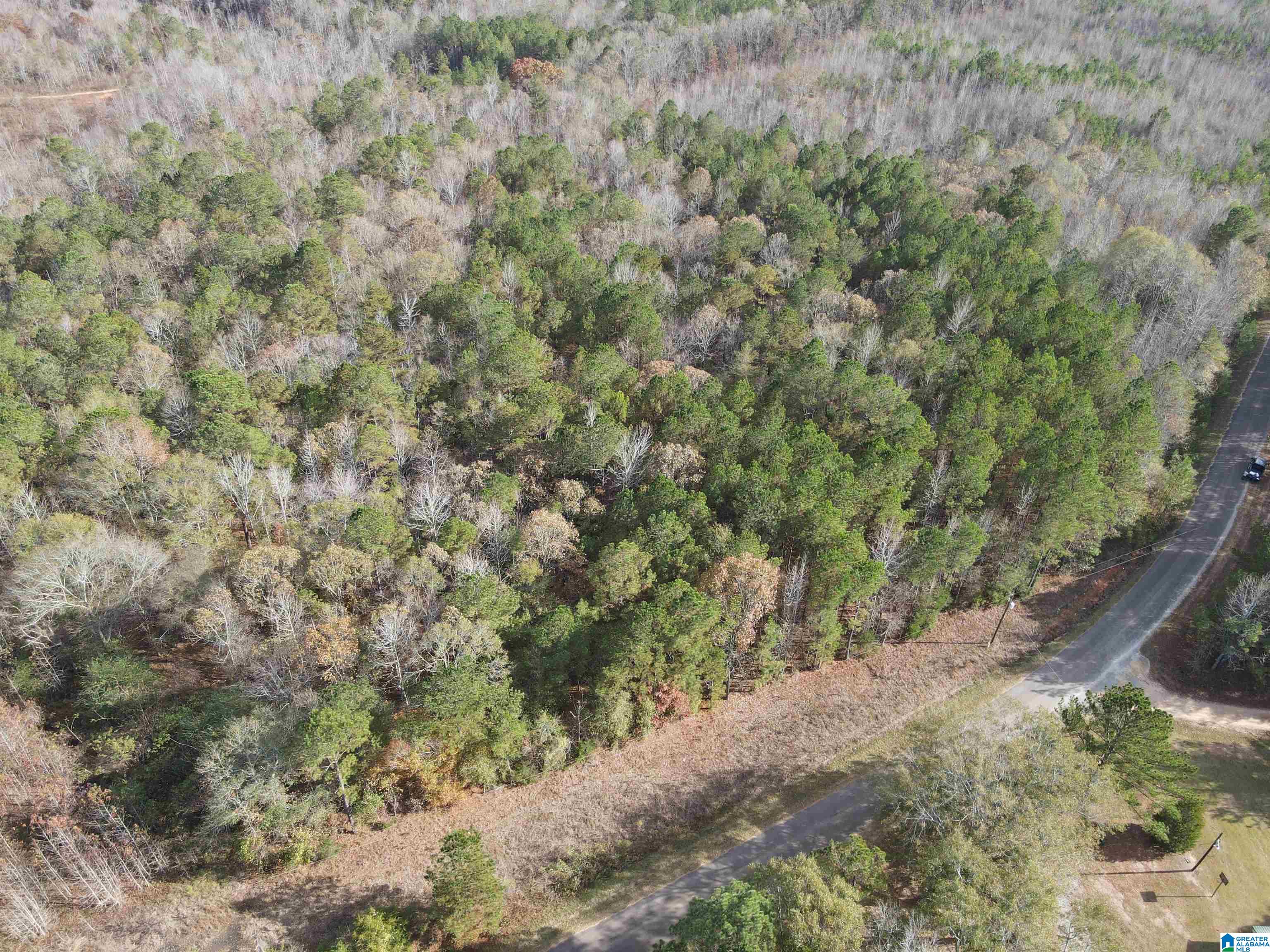 864 County Road Wadley, AL 36276 - Photo 6 of 7
