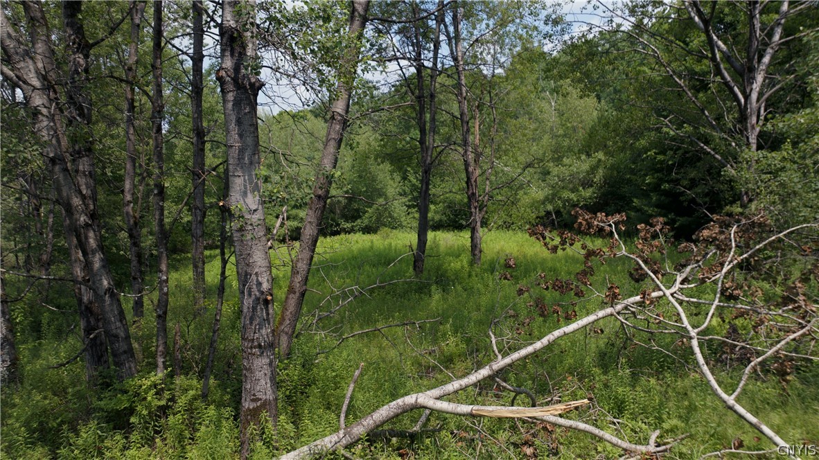 137 Windham Road Smithville, NY 13778 - Photo 12 of 20