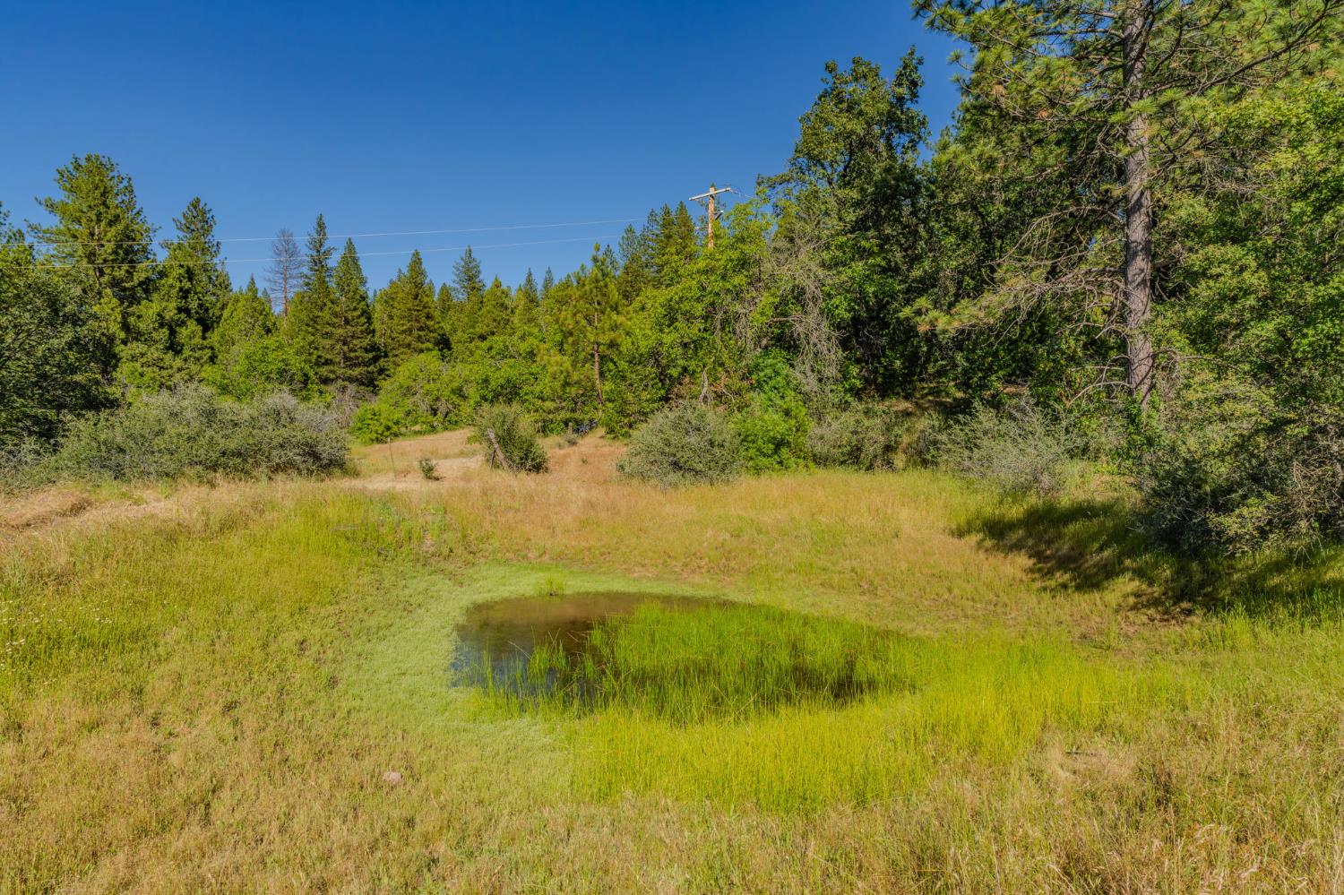 0 Schaefer Ranch Road Pioneer, CA 95666 - Photo 65 of 72