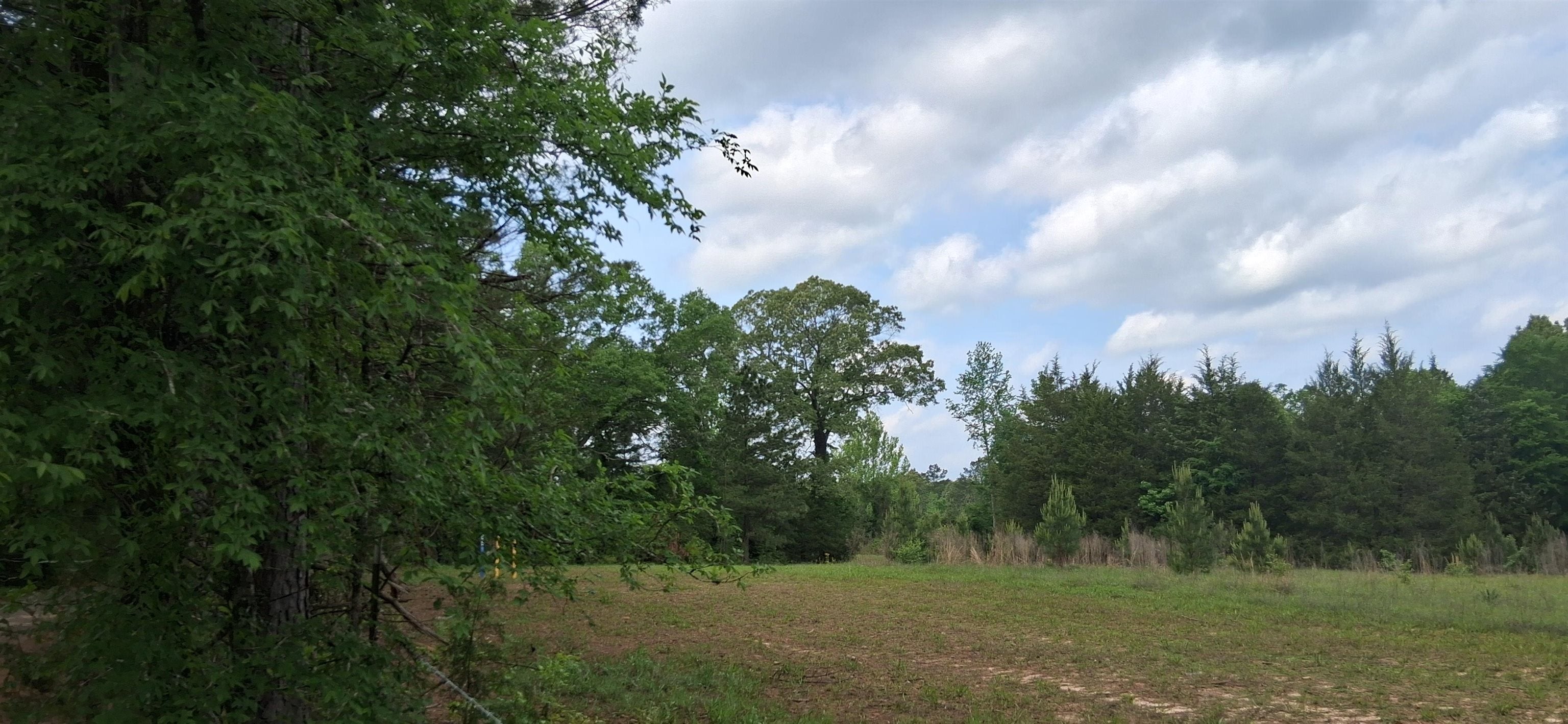 1581 Rd Avinger Tx 75630 Road Ore City, TX 75683 - Photo 3 of 3 Gallery Image 3