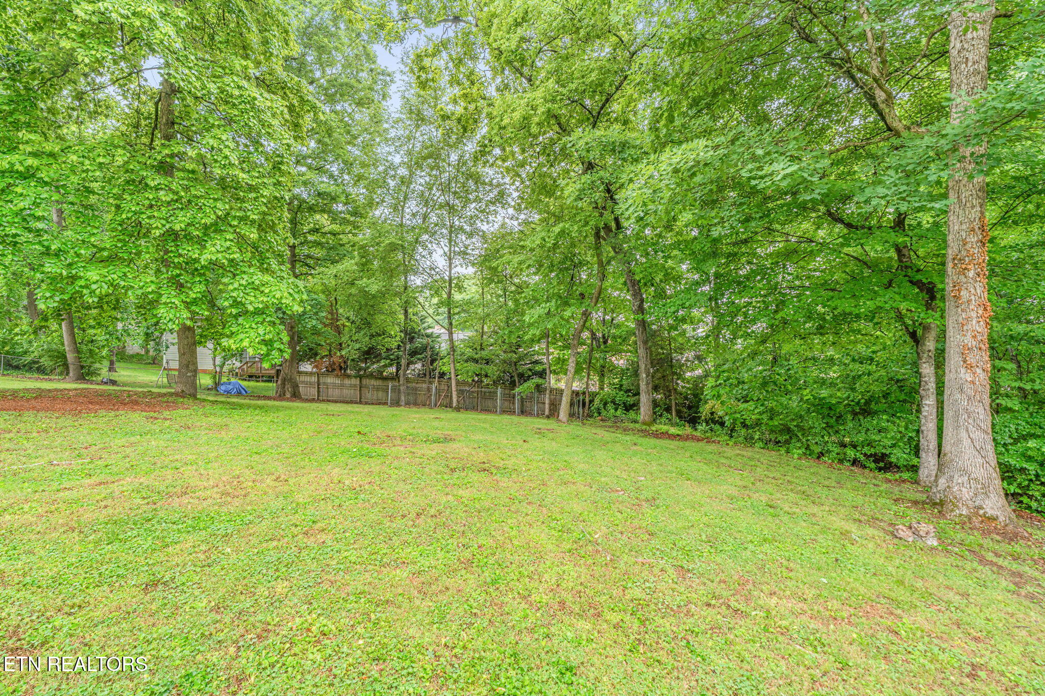 7921 Blueberry Road Powell, TN 37849 - Photo 33 of 34 Backyard
