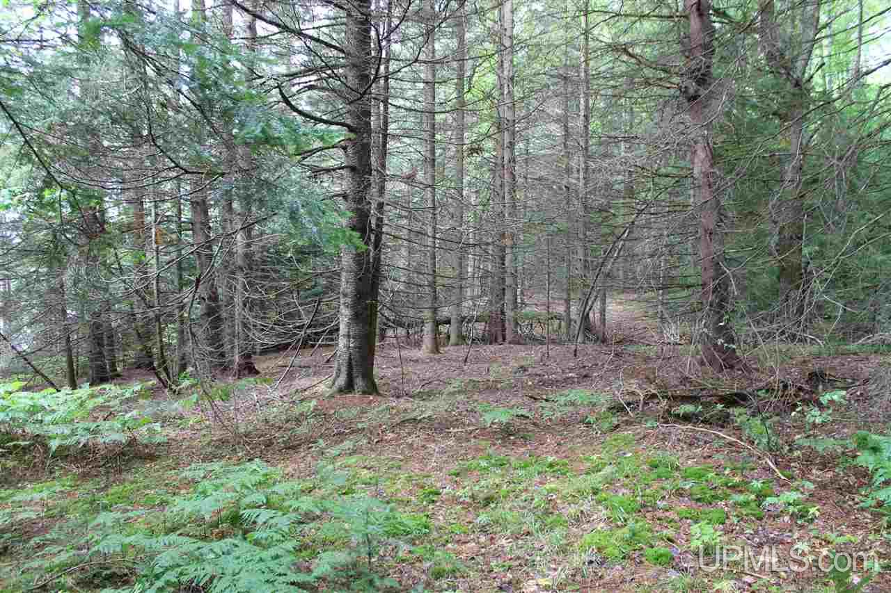 Tbd East Ford Lake Road Germfask, MI 49836 - Photo 9 of 9 Gallery Image 9