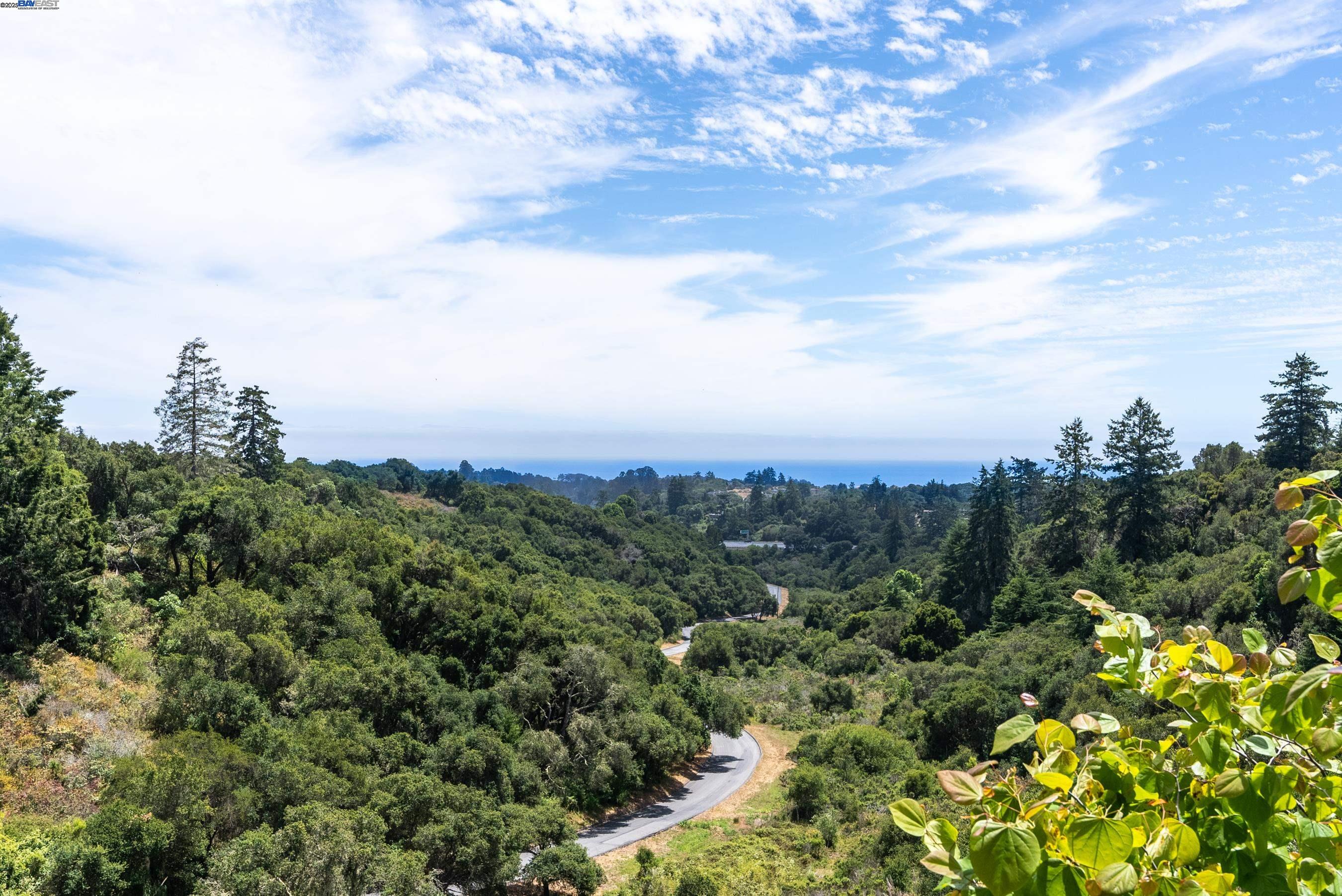 905 Moon Valley Ranch Road Watsonville, CA 95076 - Photo 23 of 60 a view of a city with lush green forest