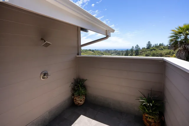a view of backyard with potted plants