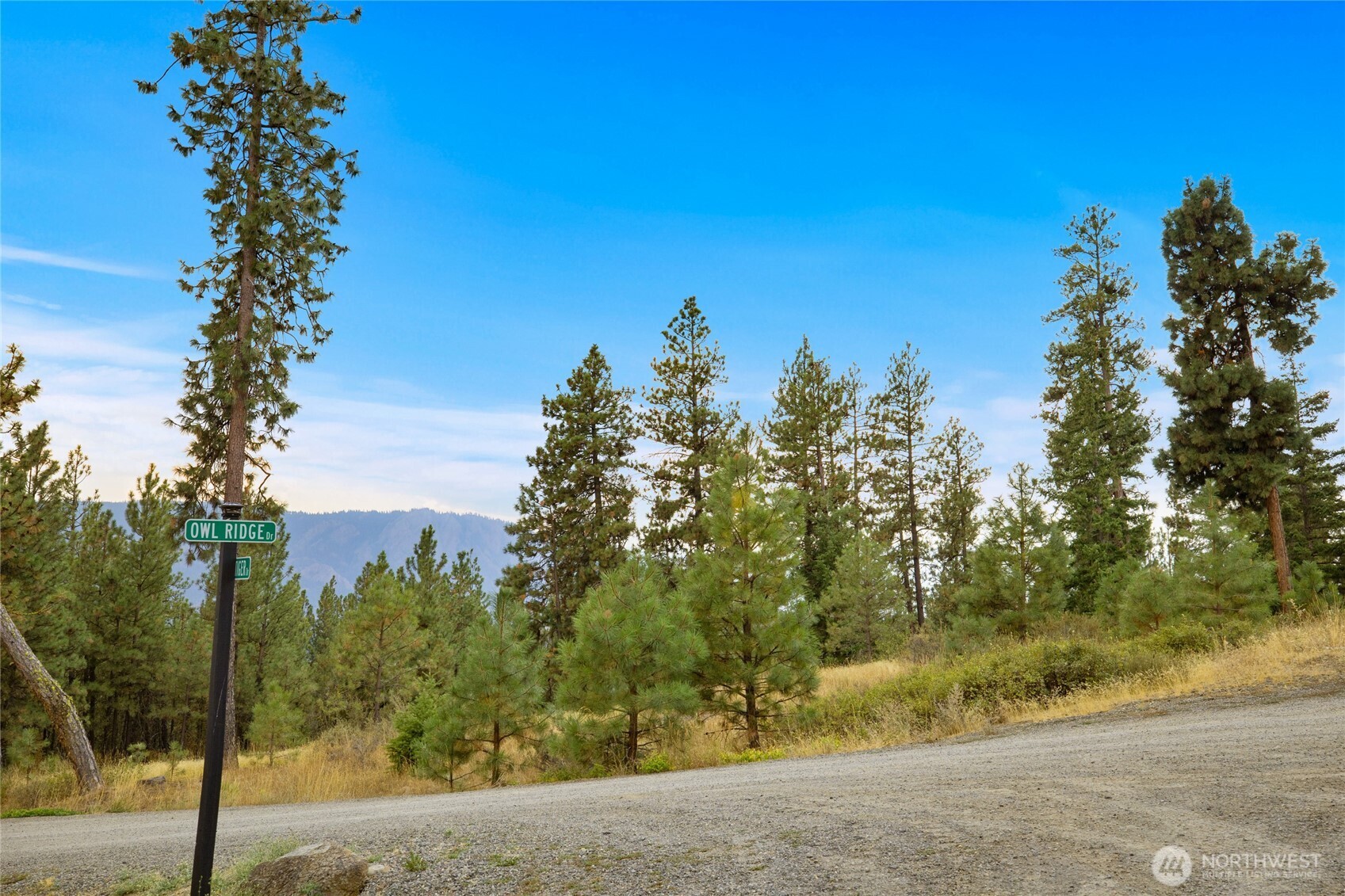 0 Owl Ridge Drive Cle Elum, WA 98922 - Photo 2 of 7