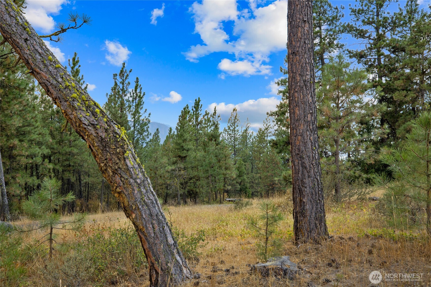 0 Owl Ridge Drive Cle Elum, WA 98922 - Photo 3 of 7
