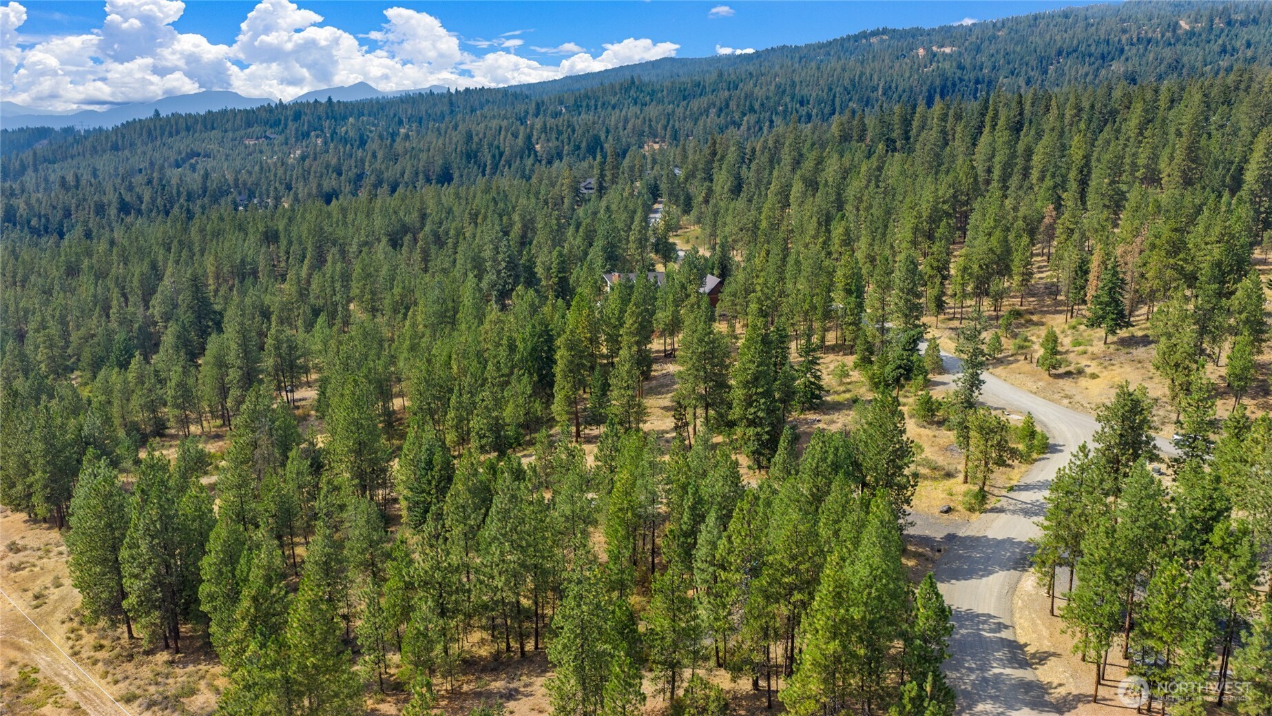 0 Owl Ridge Drive Cle Elum, WA 98922 - Photo 6 of 7