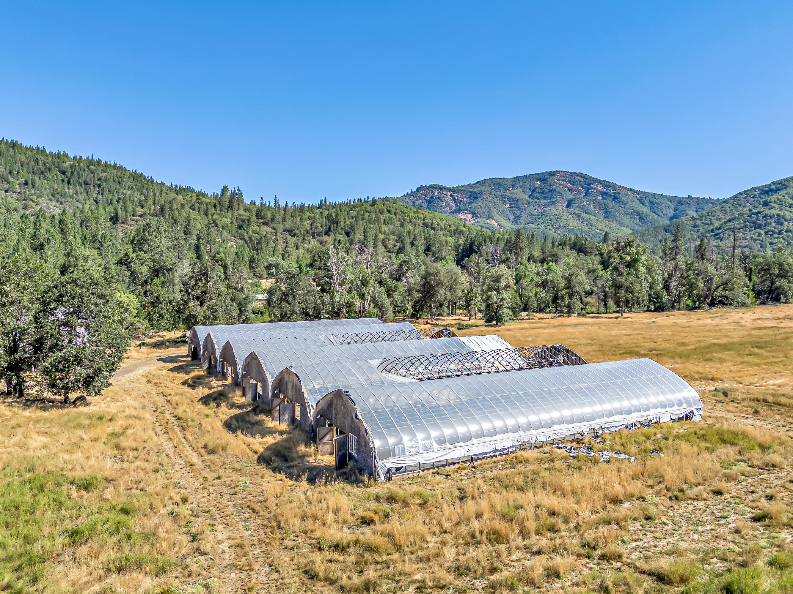9820 East Evans Creek Road Rogue River, OR 97537 - Photo 29 of 58 DJI_20250722095523_0106_D